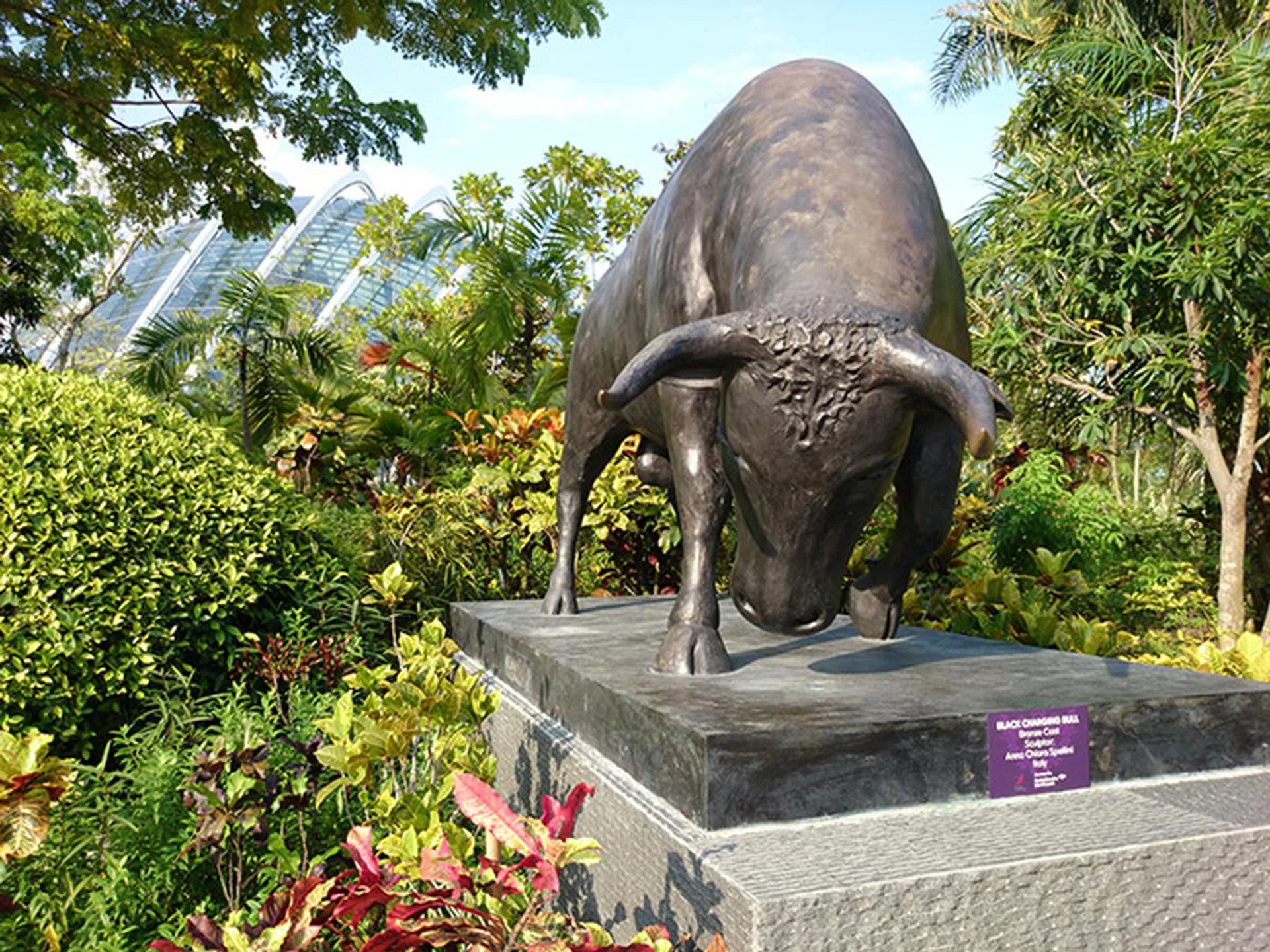 Sony Z1, 20MP, f/2 at 27mm, 1/500 sec, ISO 50.