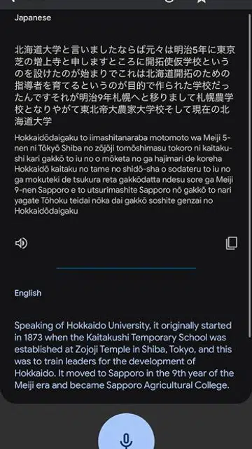 Google Translate in action.