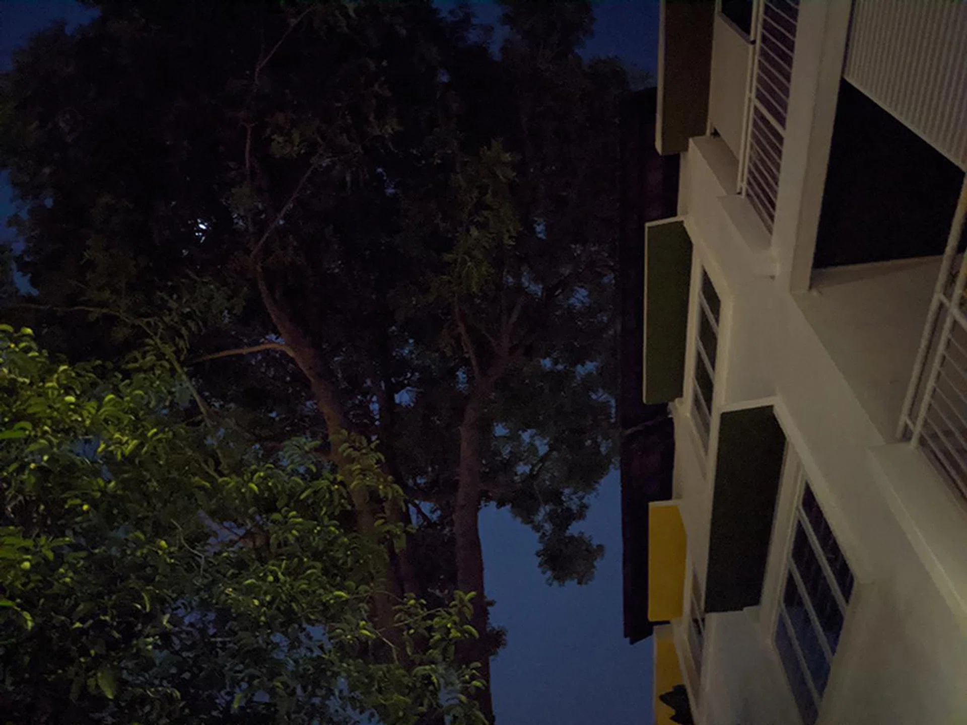 Pixel 4, Night Sight off. 