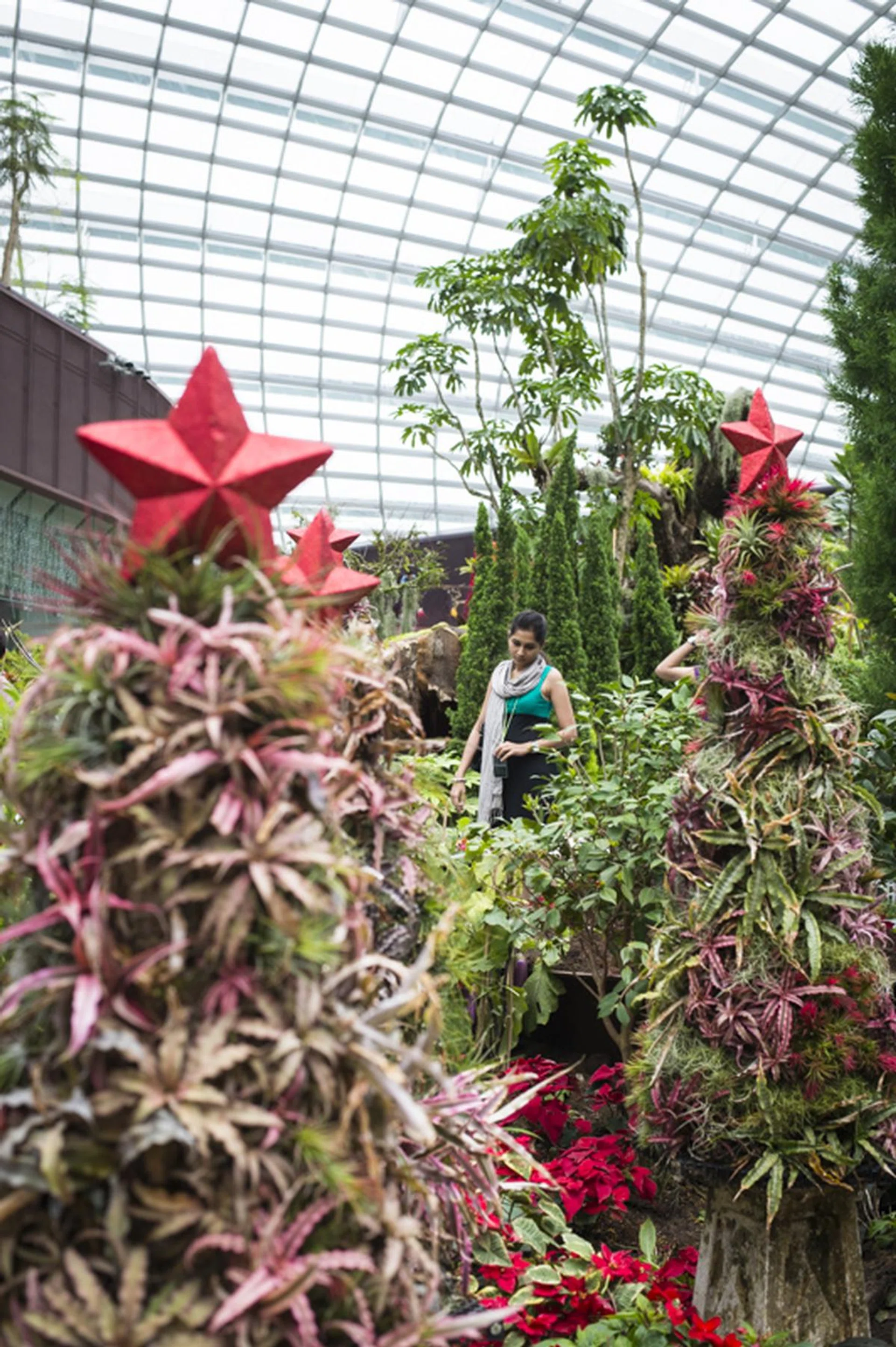 f/5.6 at 50mm, 1/320 sec, ISO 400.