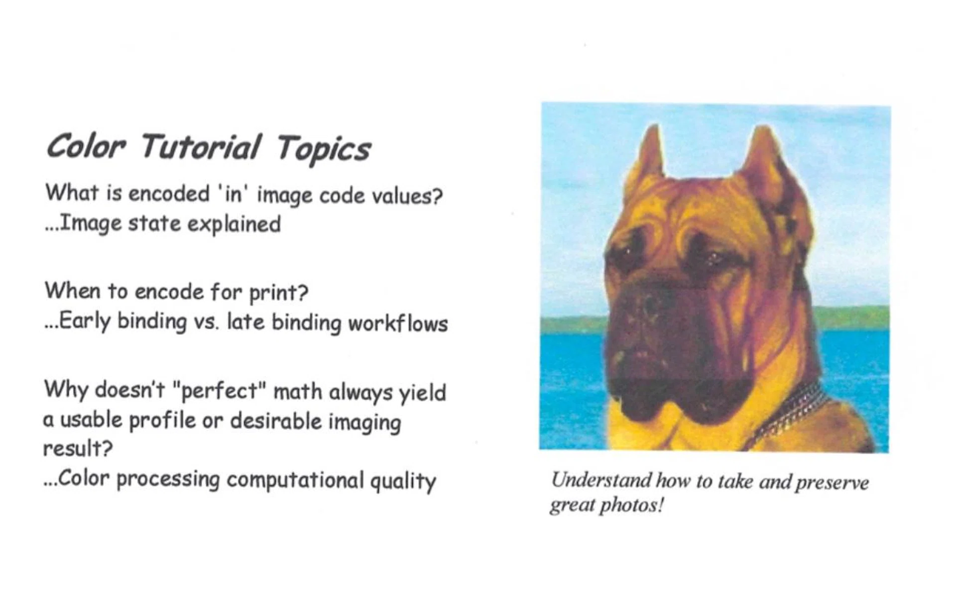 Image colours are rich but not overly saturated.