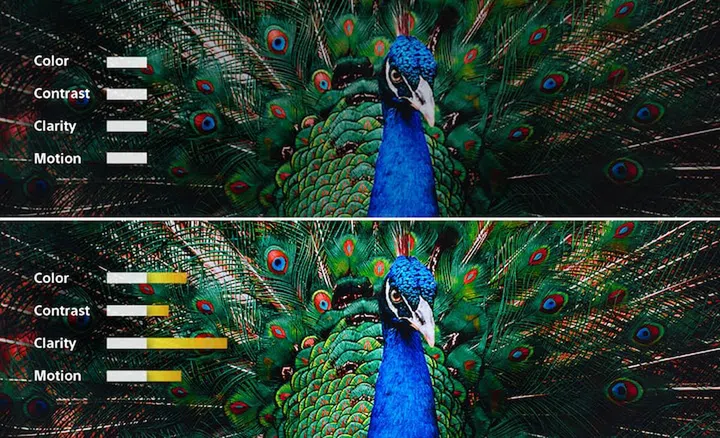 The new processor works on all aspects of an image together. Image courtesy of Sony. 