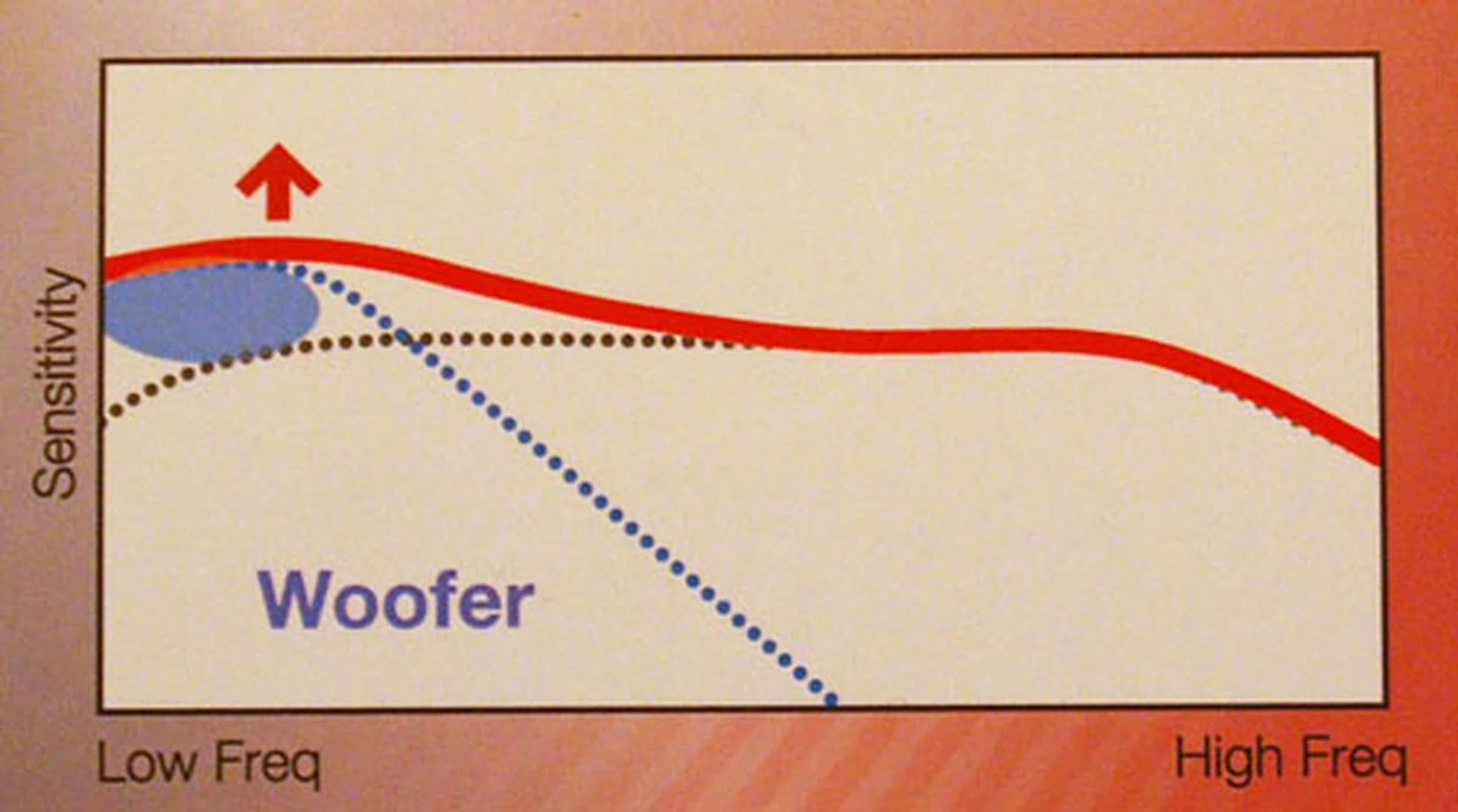 Instead of going for a tweeter, the second driver functions as a woofer giving the XBA-2 a little boost in the lower frequency performance department.