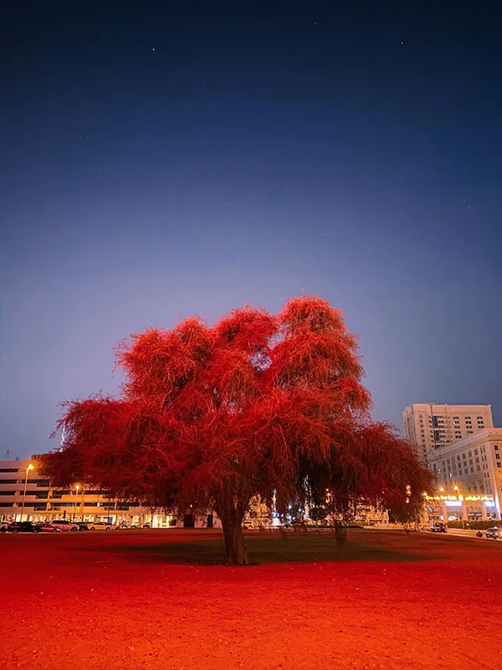 Mitsun Soni (Mumbai, Maharashtra, India), iPhone 11 Pro