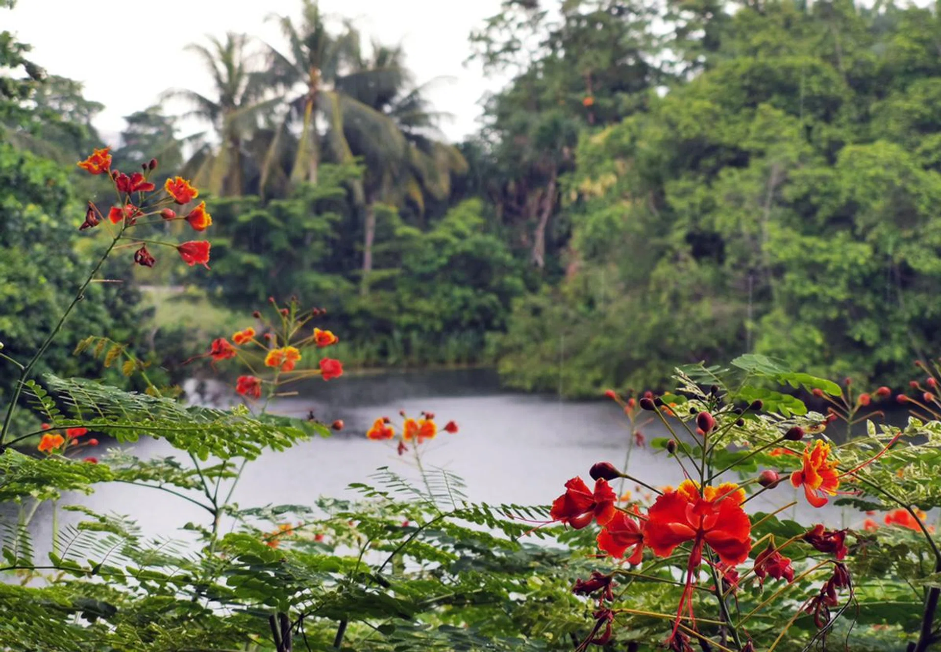 3x zoom, ISO50, 1/115 sec