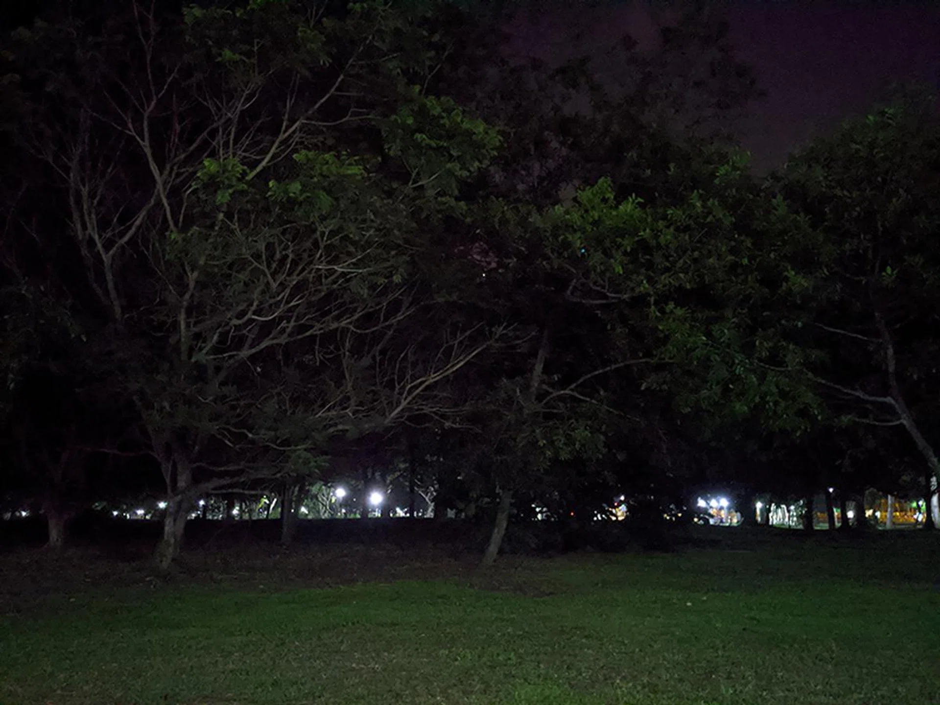 Pixel 4 XL Night Sight off. (Click to view full-size image)