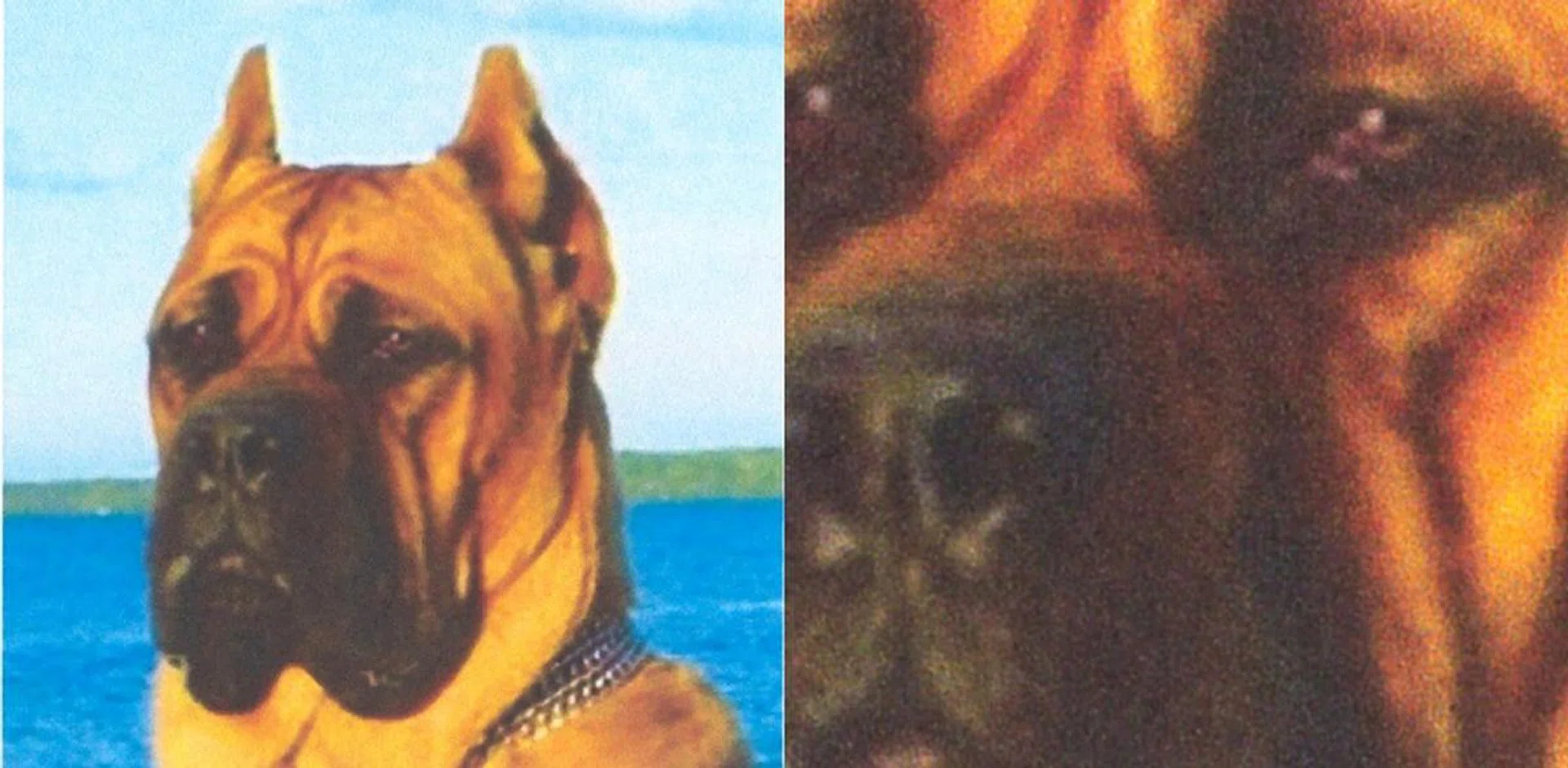 Close-up scan of its colour image print capability.