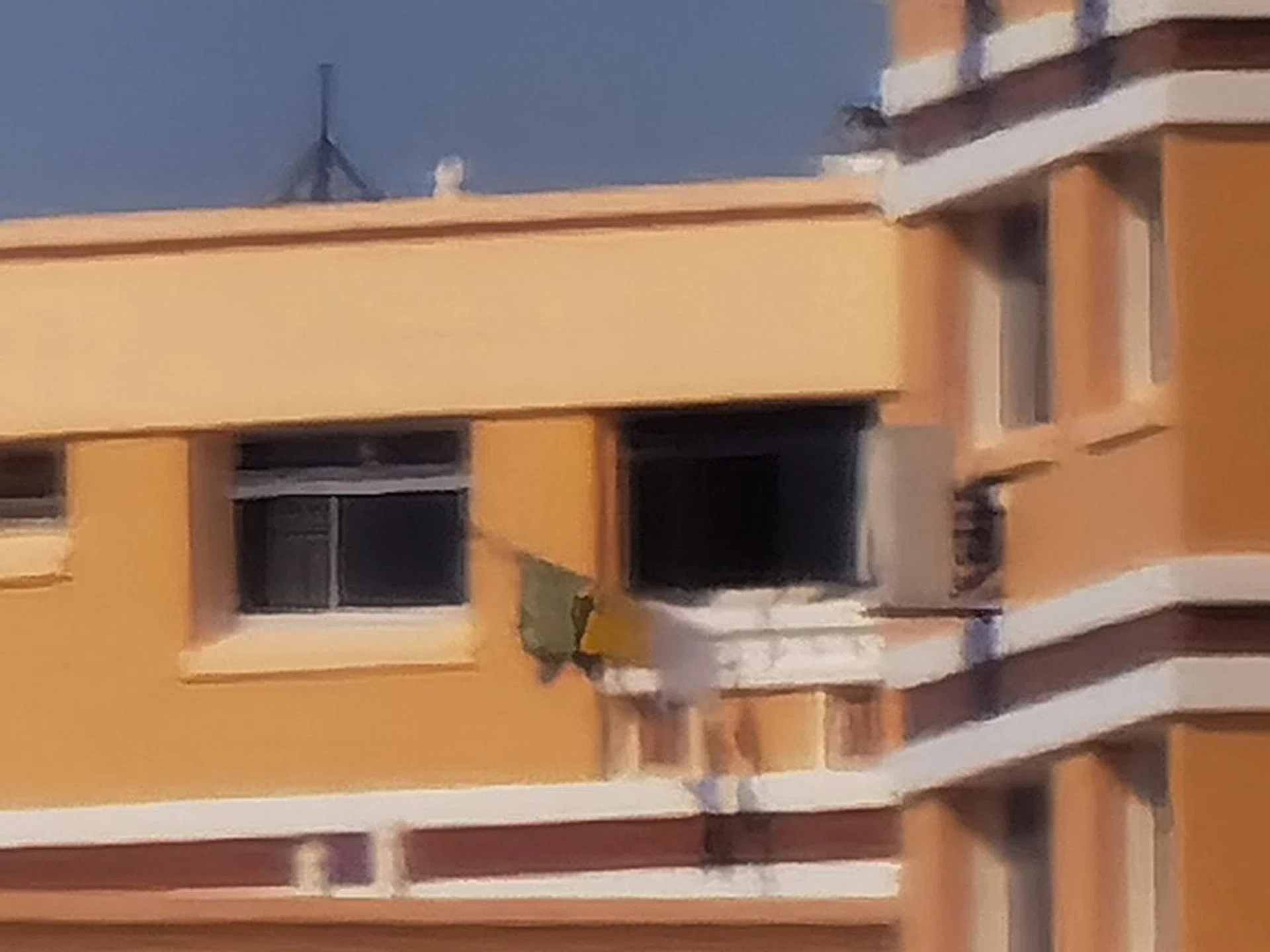 Huawei P40 Pro+ 100x zoom.