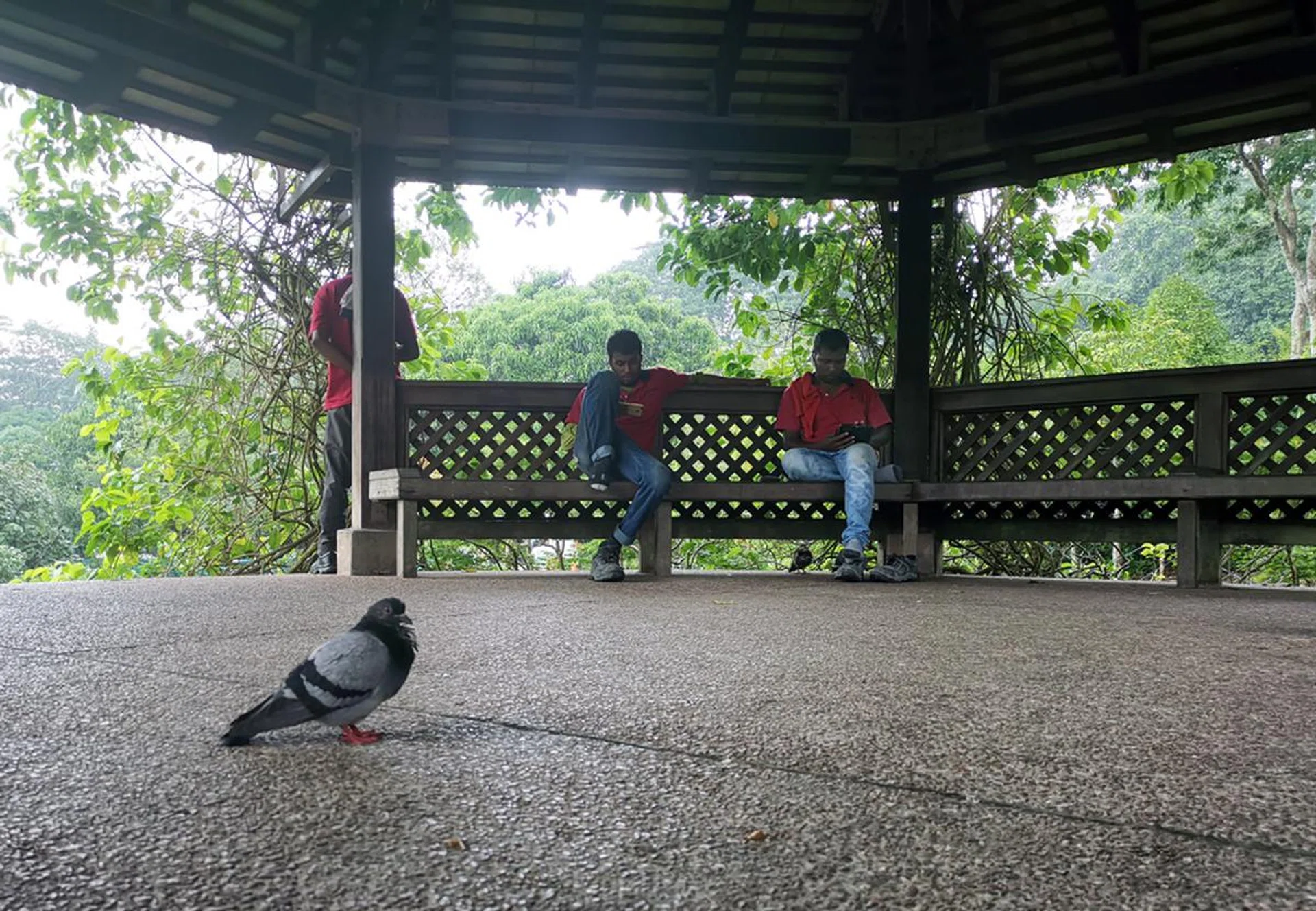 1x zoom, ISO80, 1/100 sec