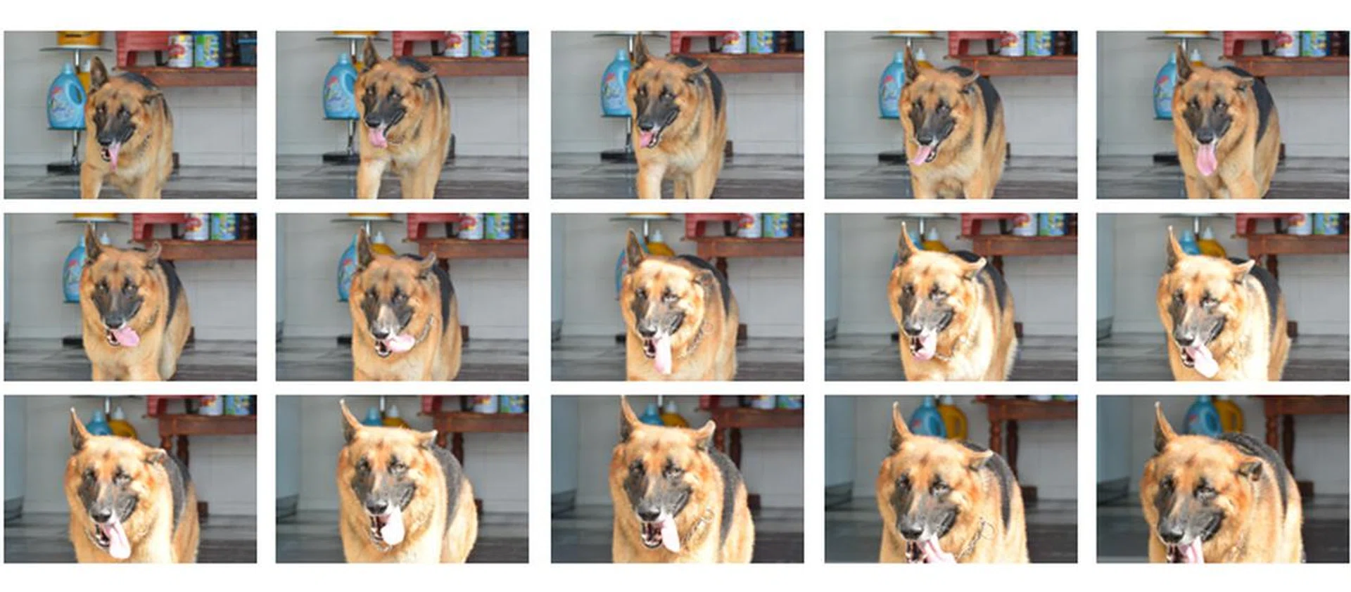In good light, the V2 manages to track and keep focus on moving subjects more often than not.