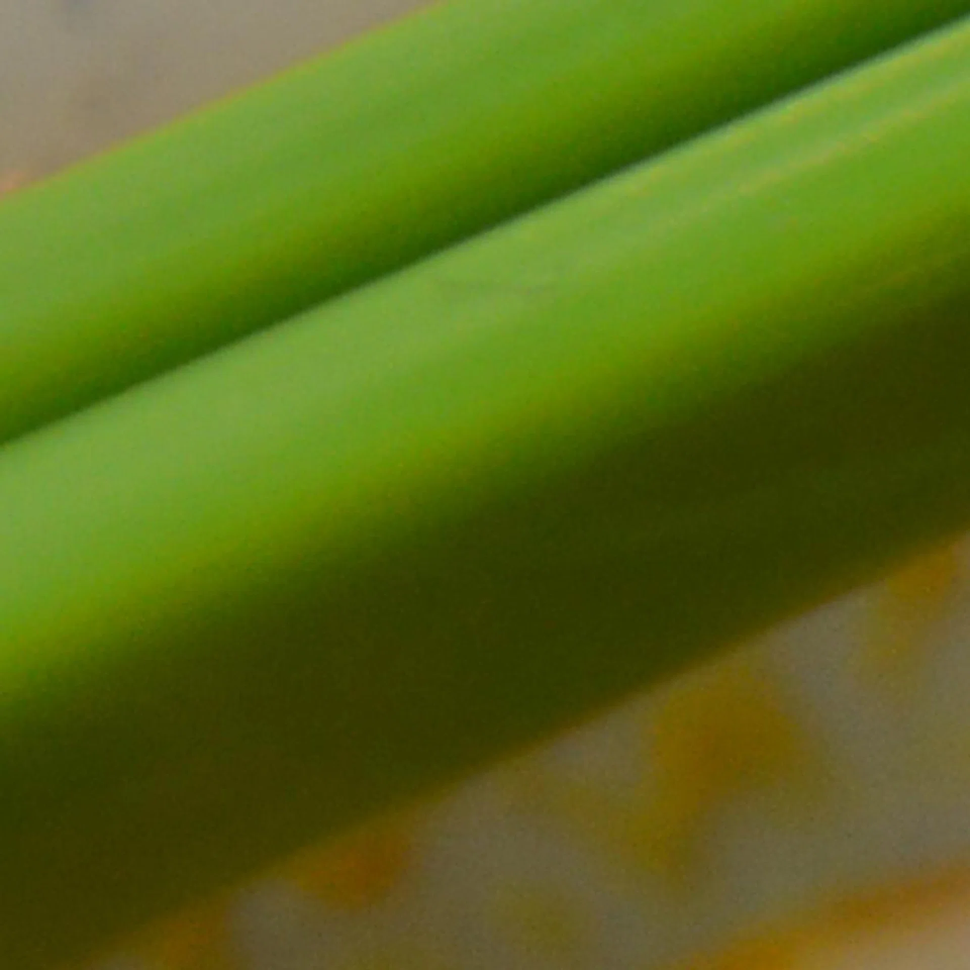 The D800 shows that a larger sensor does indeed help greatly in low light situations. Shooting at ISO400 still retains a great deal of detail and keeps noise levels low.