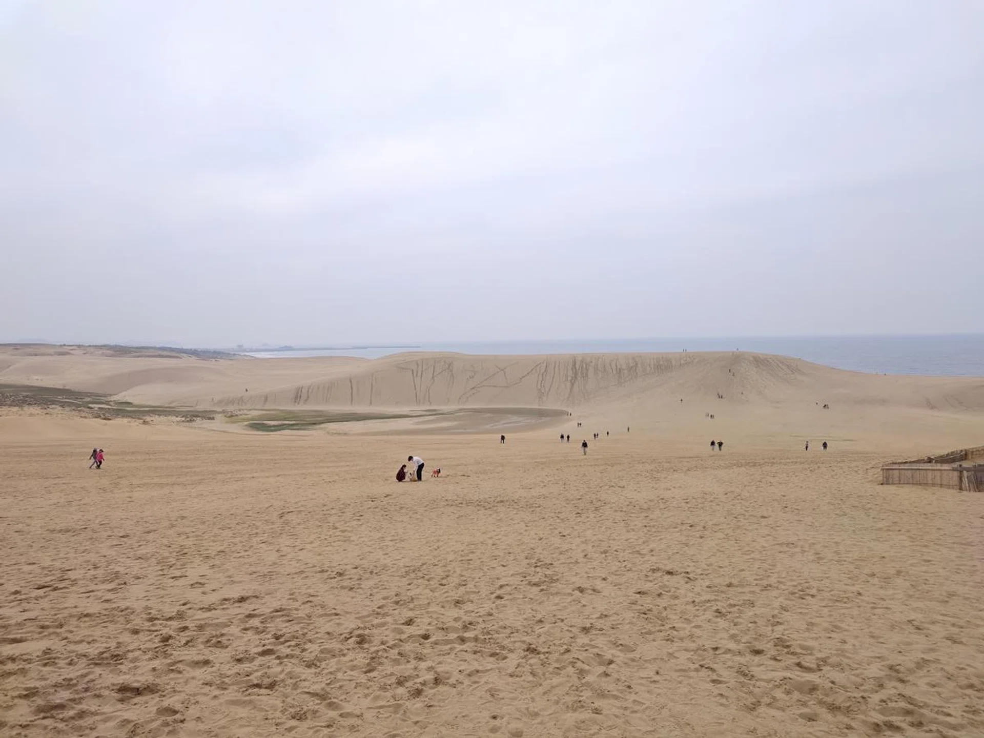 Main camera. Photo: HWZ.