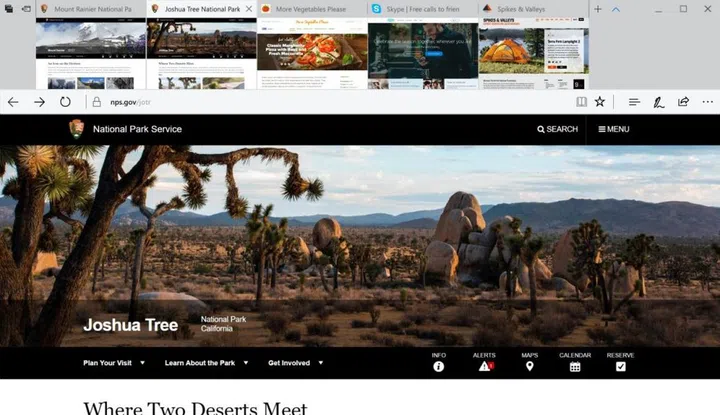 You can preview visual thumbnails of all your open tabs at a glance.