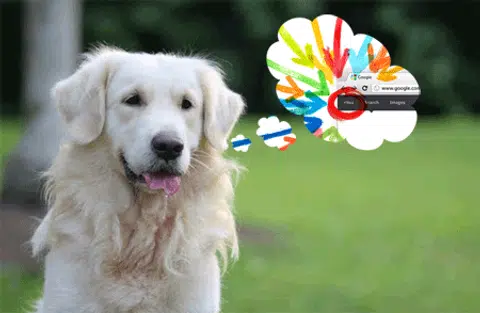 Source: Hardwarezone