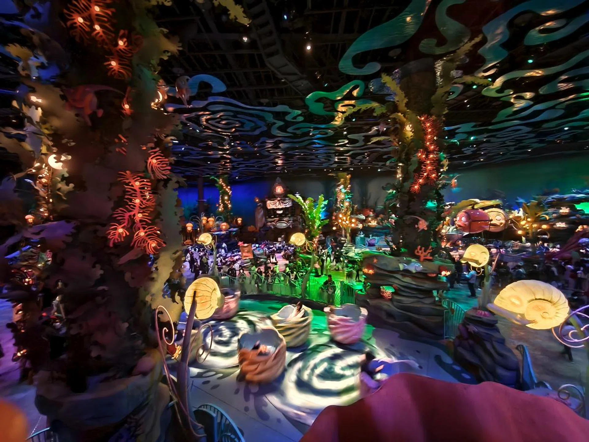 Ultrawide camera, low light. Photo: HWZ.