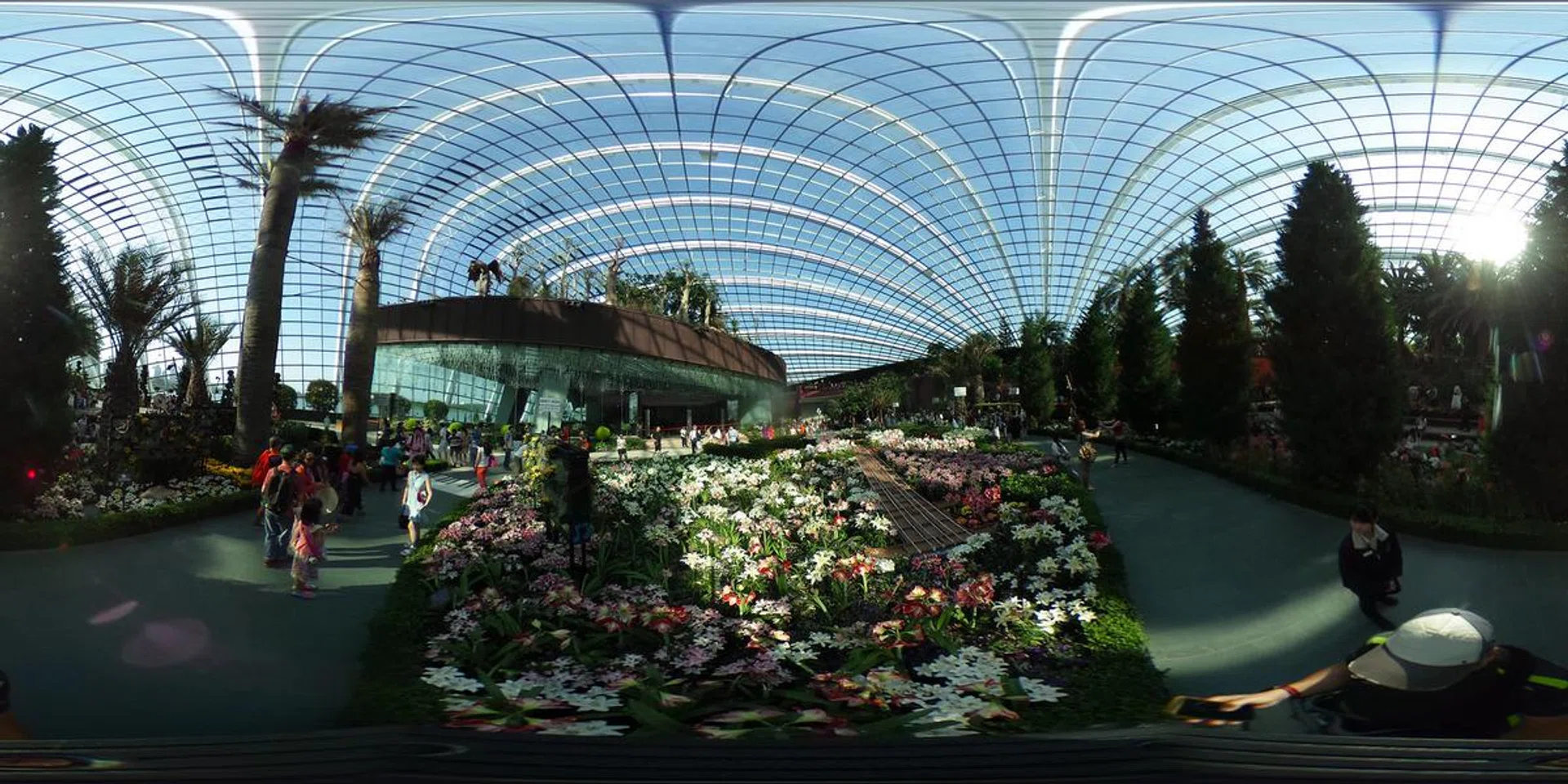 ricoh-flowerDome