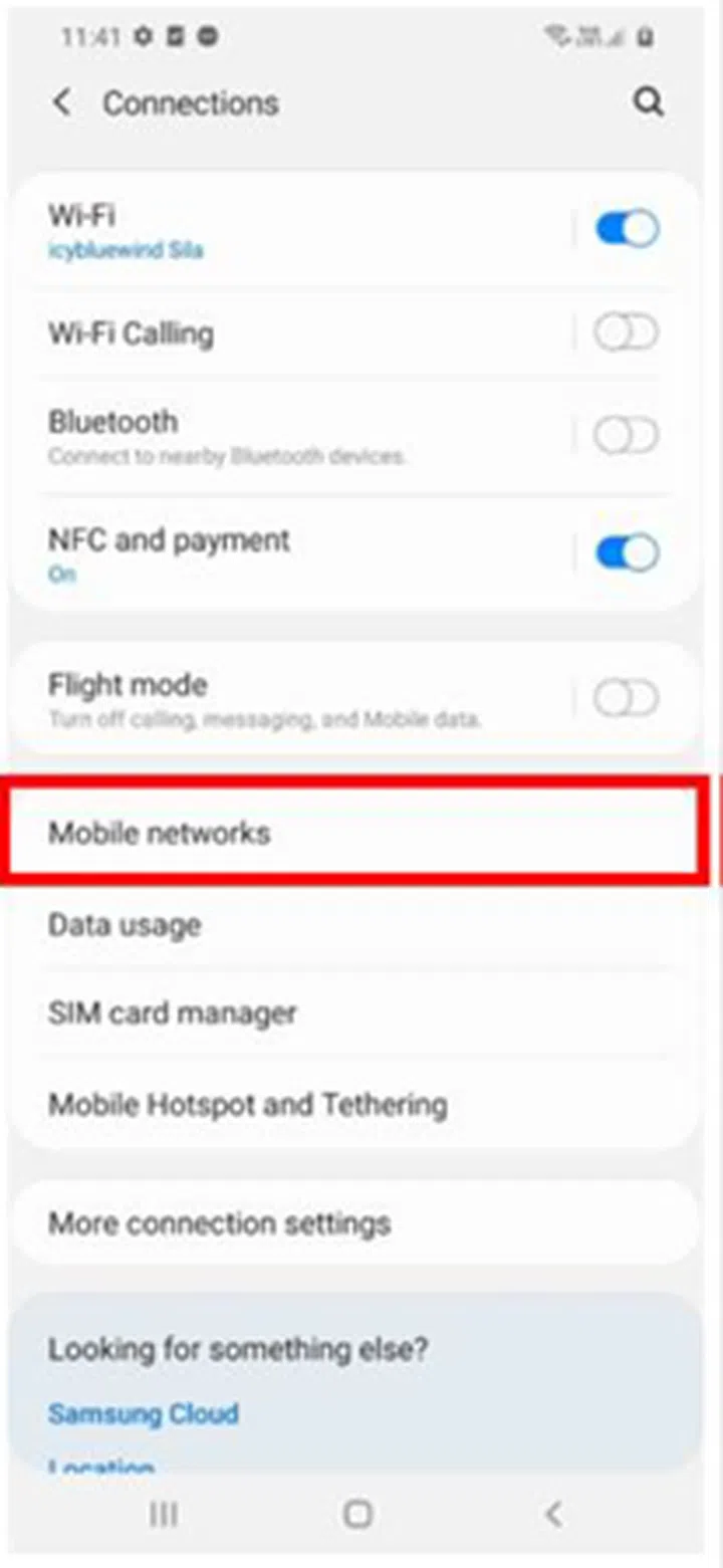 Then, go to "mobile networks"...