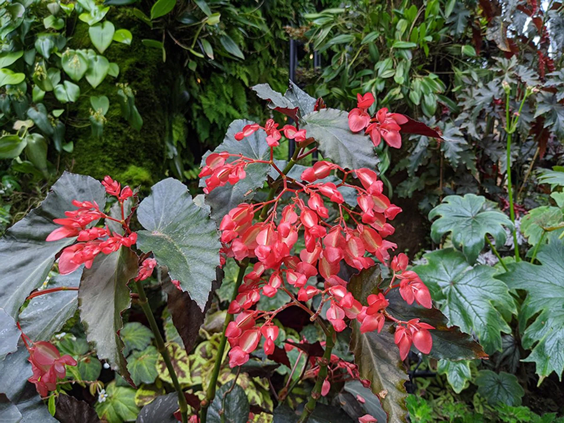 Pixel 4 XL. (Click to see full-size image)