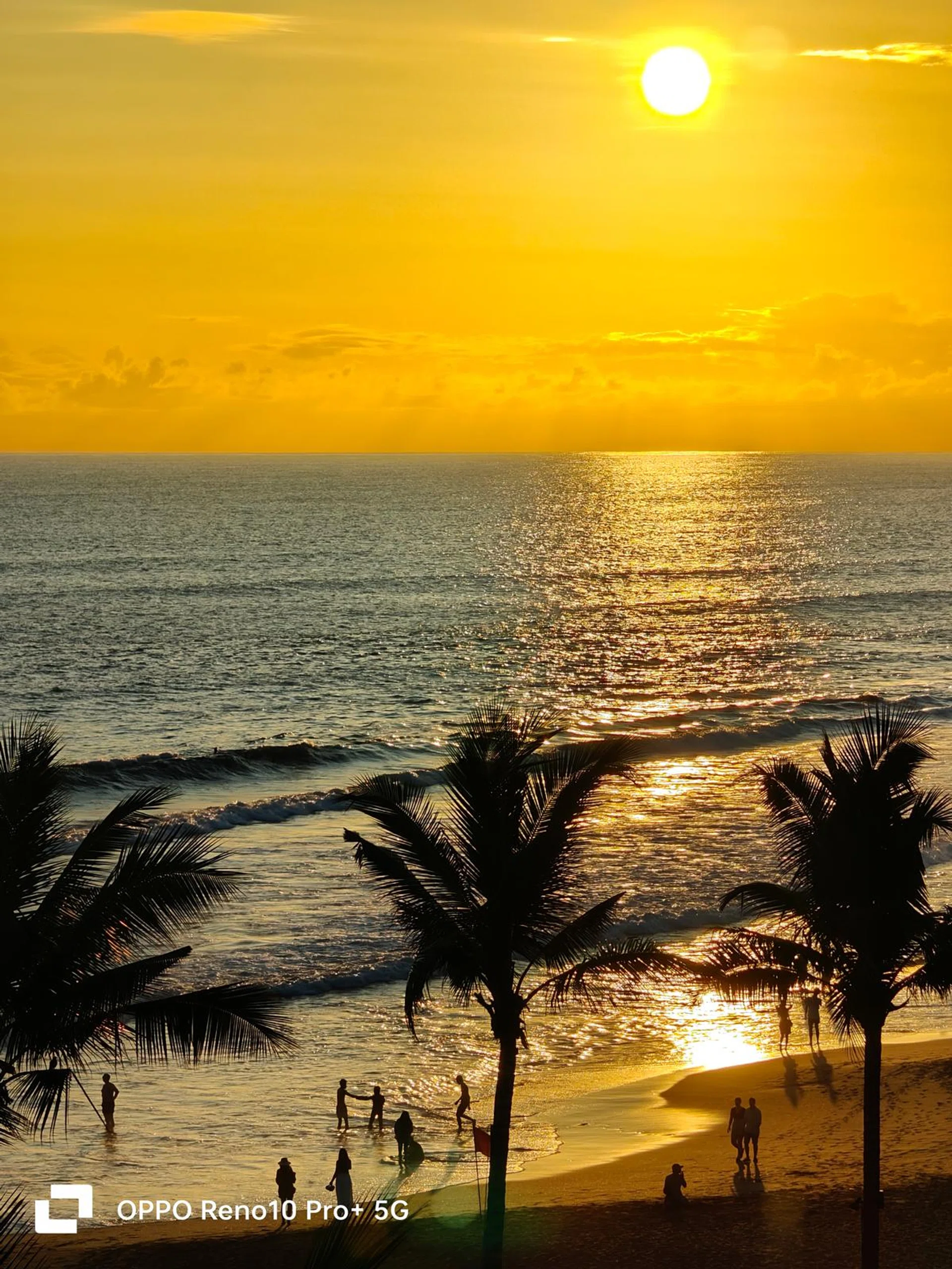 Telephoto camera, using 6x in-sensor crop zoom.