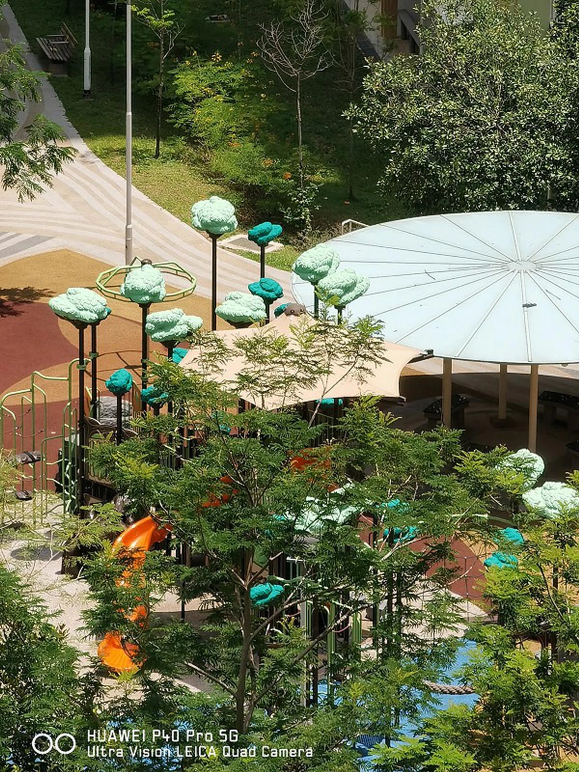 10x hybrid optical zoom shot. Click to view the original image.