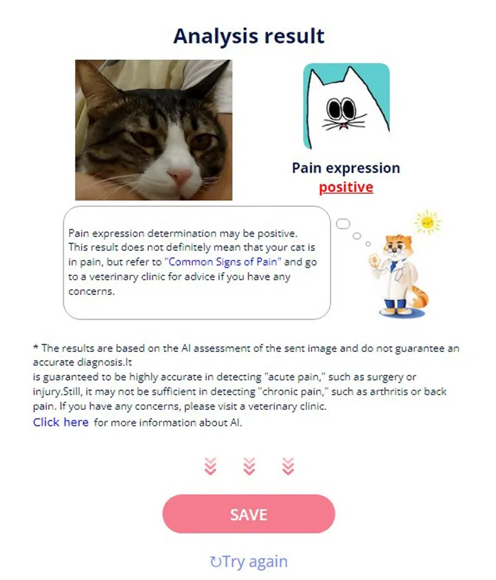 A screenshot from HWZ"s trial run with Cat Pain Detector.