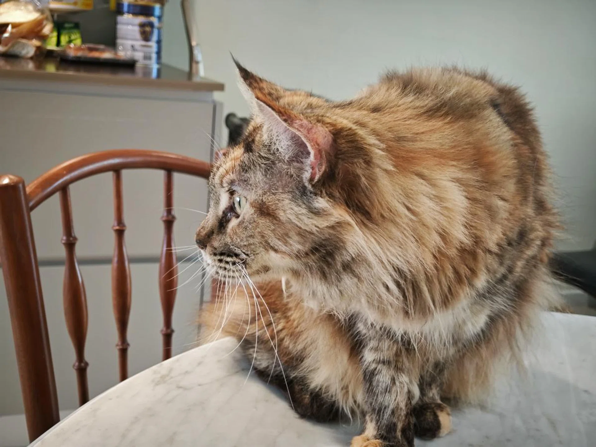 Main camera. Photo: HWZ.