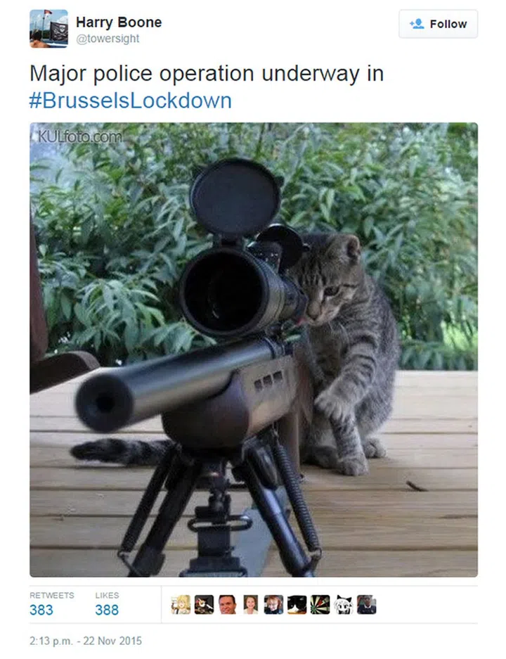 Got him in my sights, sir!