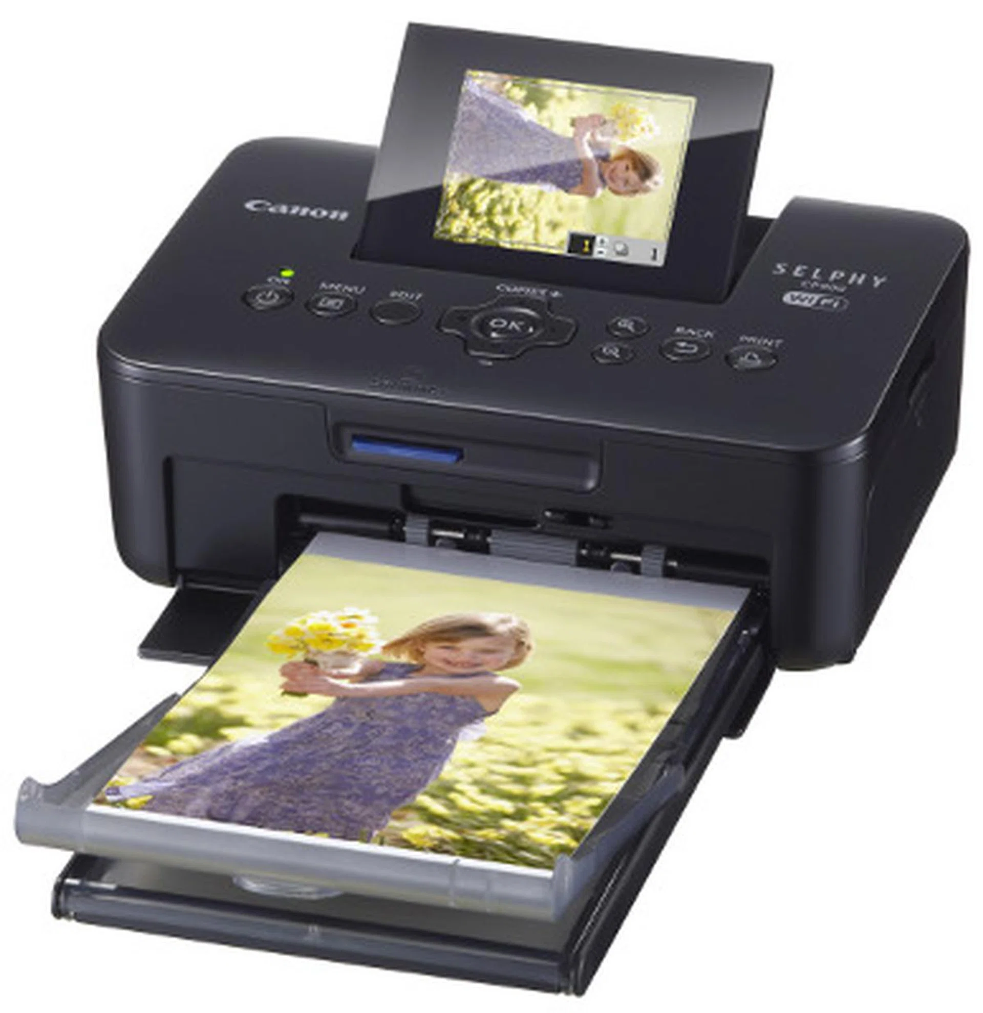 Consumer dye-sub printers are quite few in number, with one being the Canon Selphy photo printer line. 