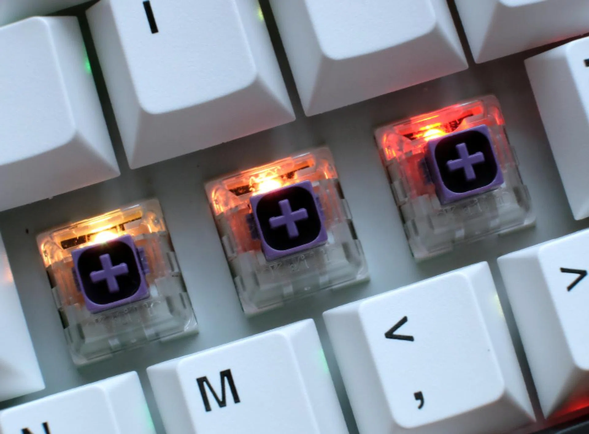 The Box Royal switches are a S$20 premium over Gateron Yellow and Box White.