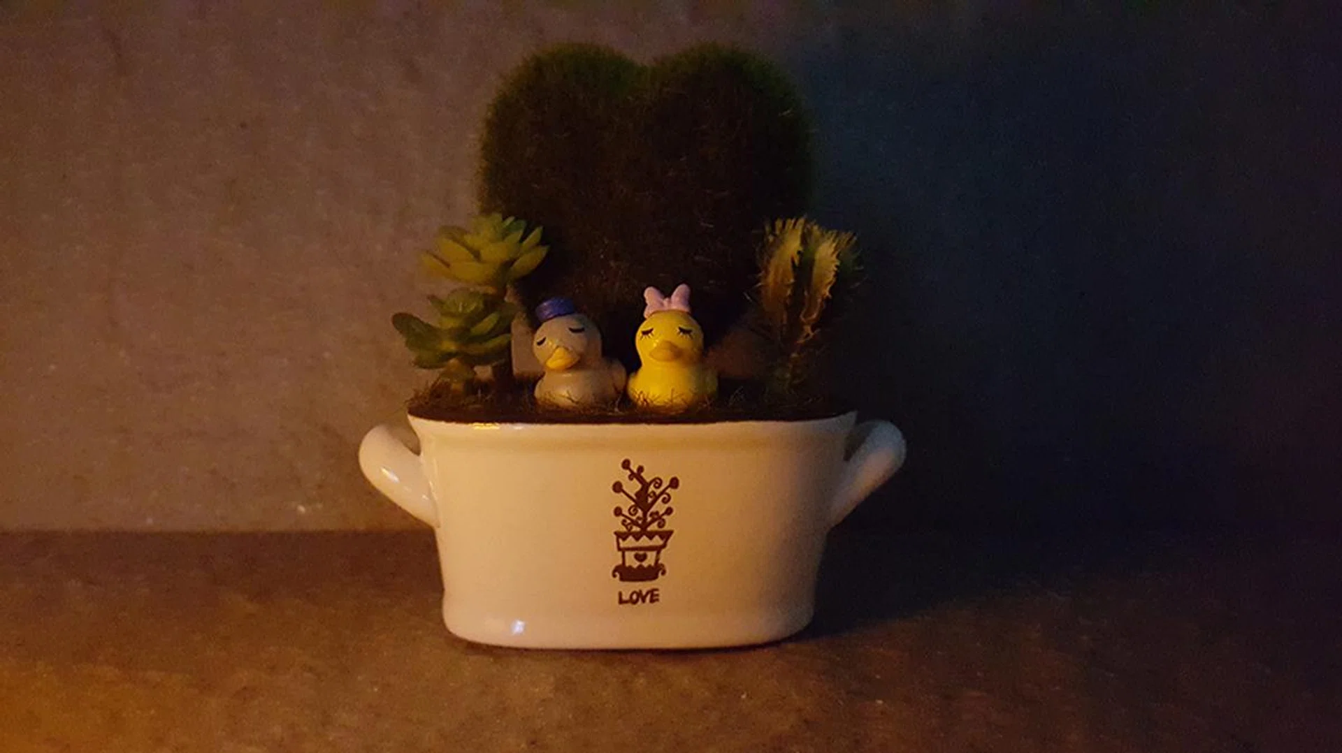 Samsung Galaxy Note 5. f/1.9 at 28mm, 1/7 sec, ISO 1000.