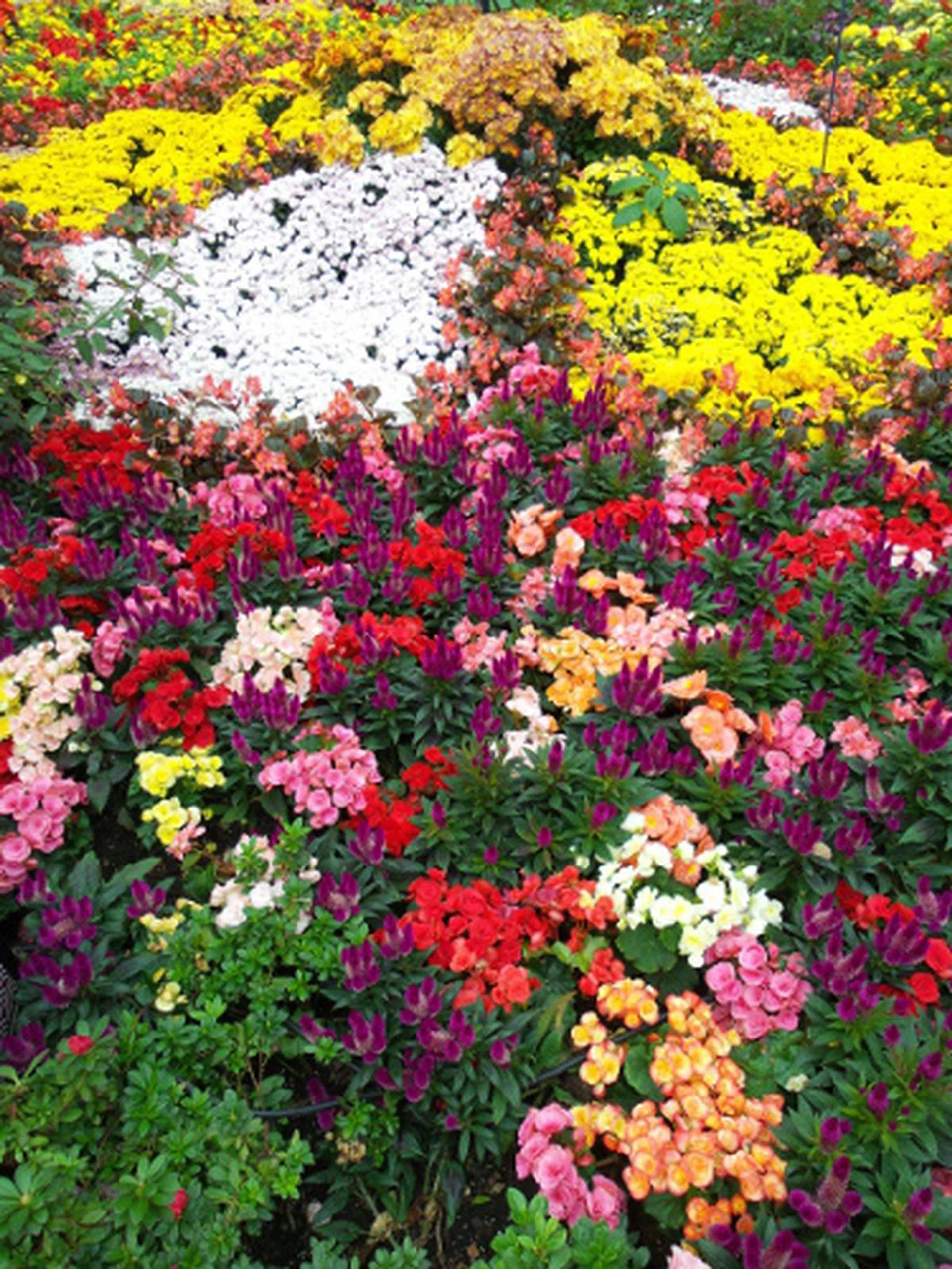 Some may be fans of the oversaturated look, but as this picture shows, it can make pictures appear too surreal.