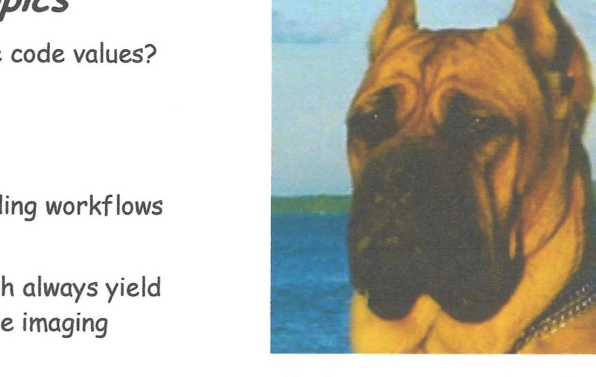 Close-up scan of its colour image print capability.