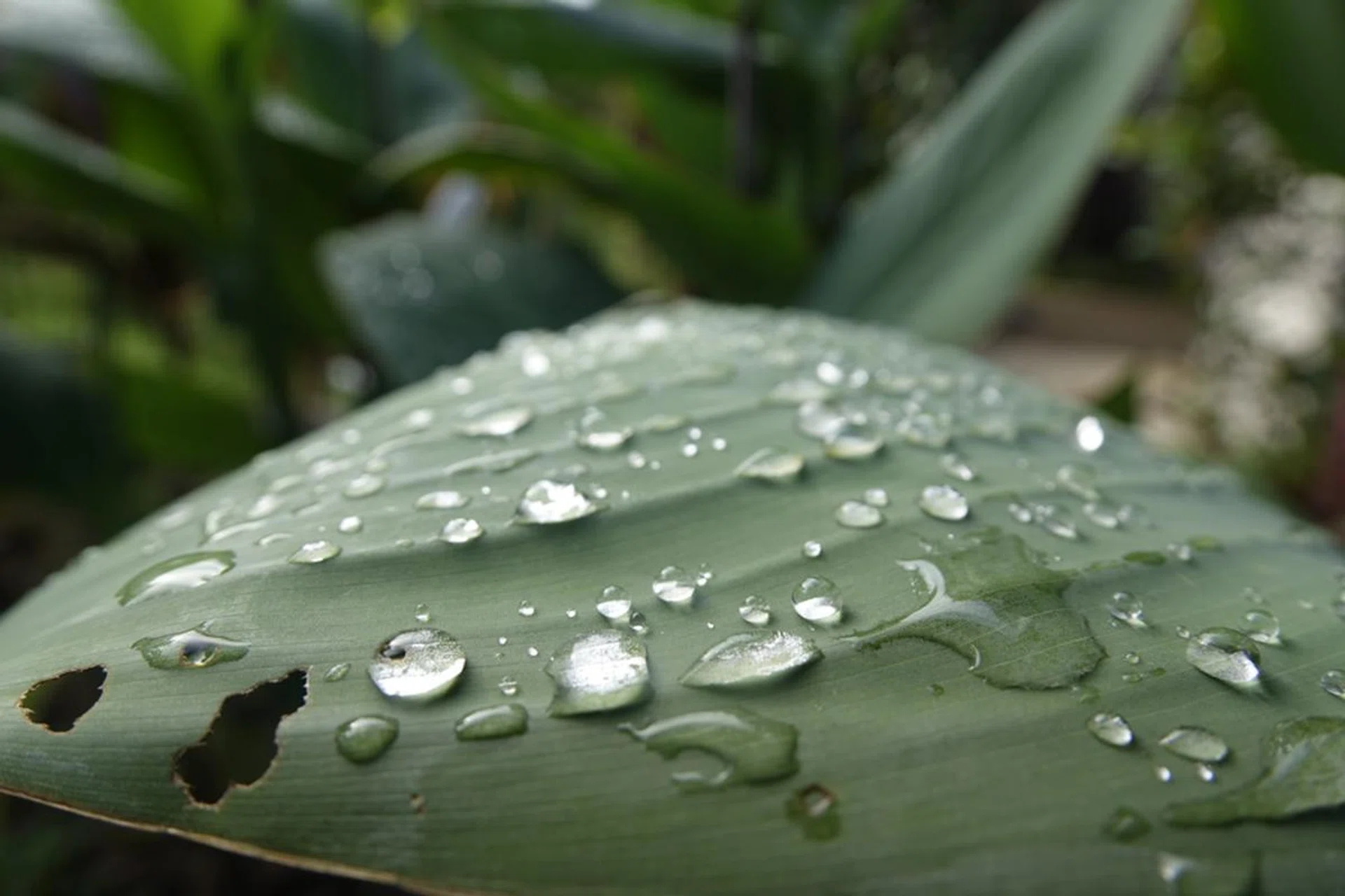 24mm at f/3.5, 1/250s, ISO 100