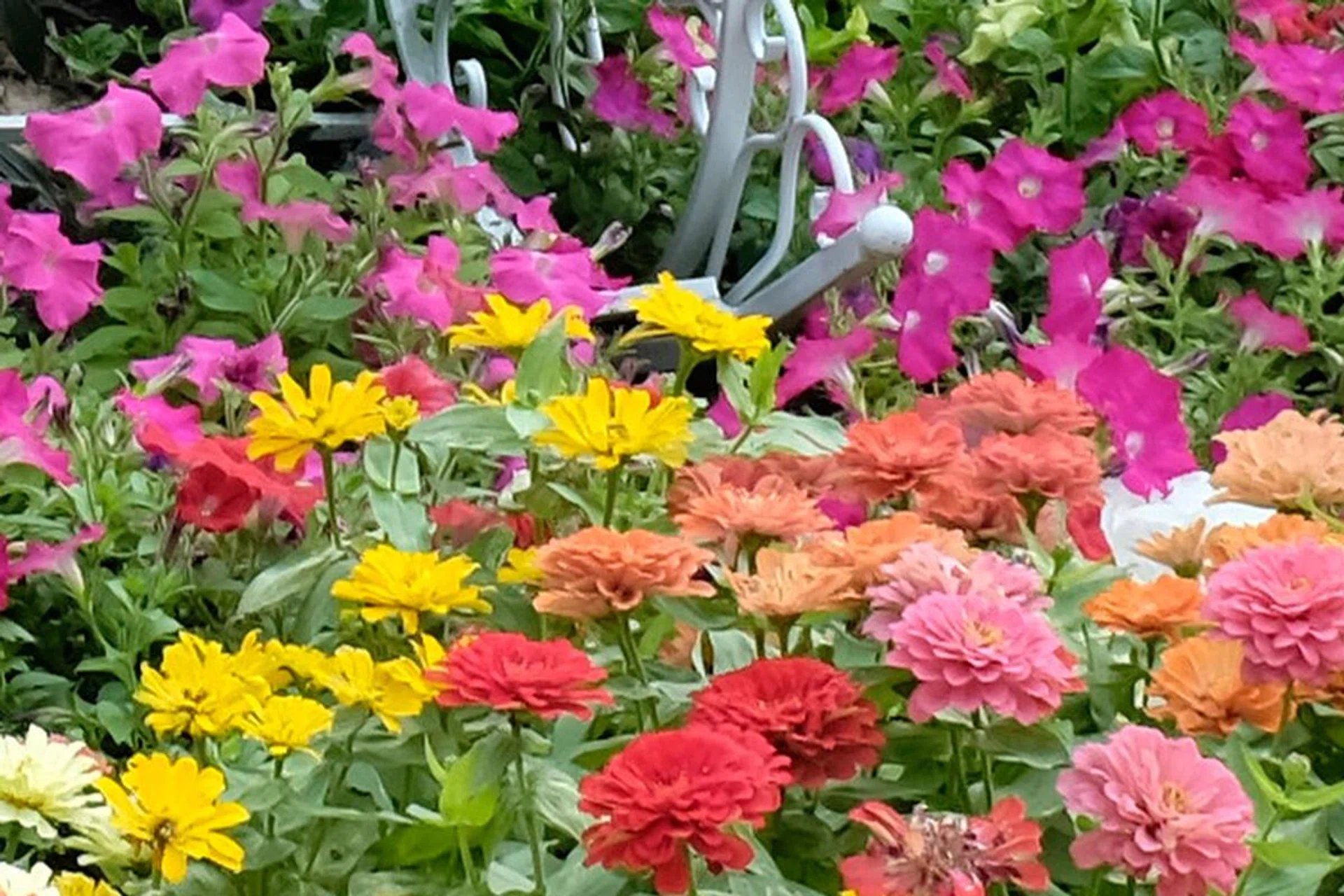 The exact same image, except that this was saved as a JPEG in-camera. The X100S' JPEG engine doesn't produce the same kind of odd double-edges.