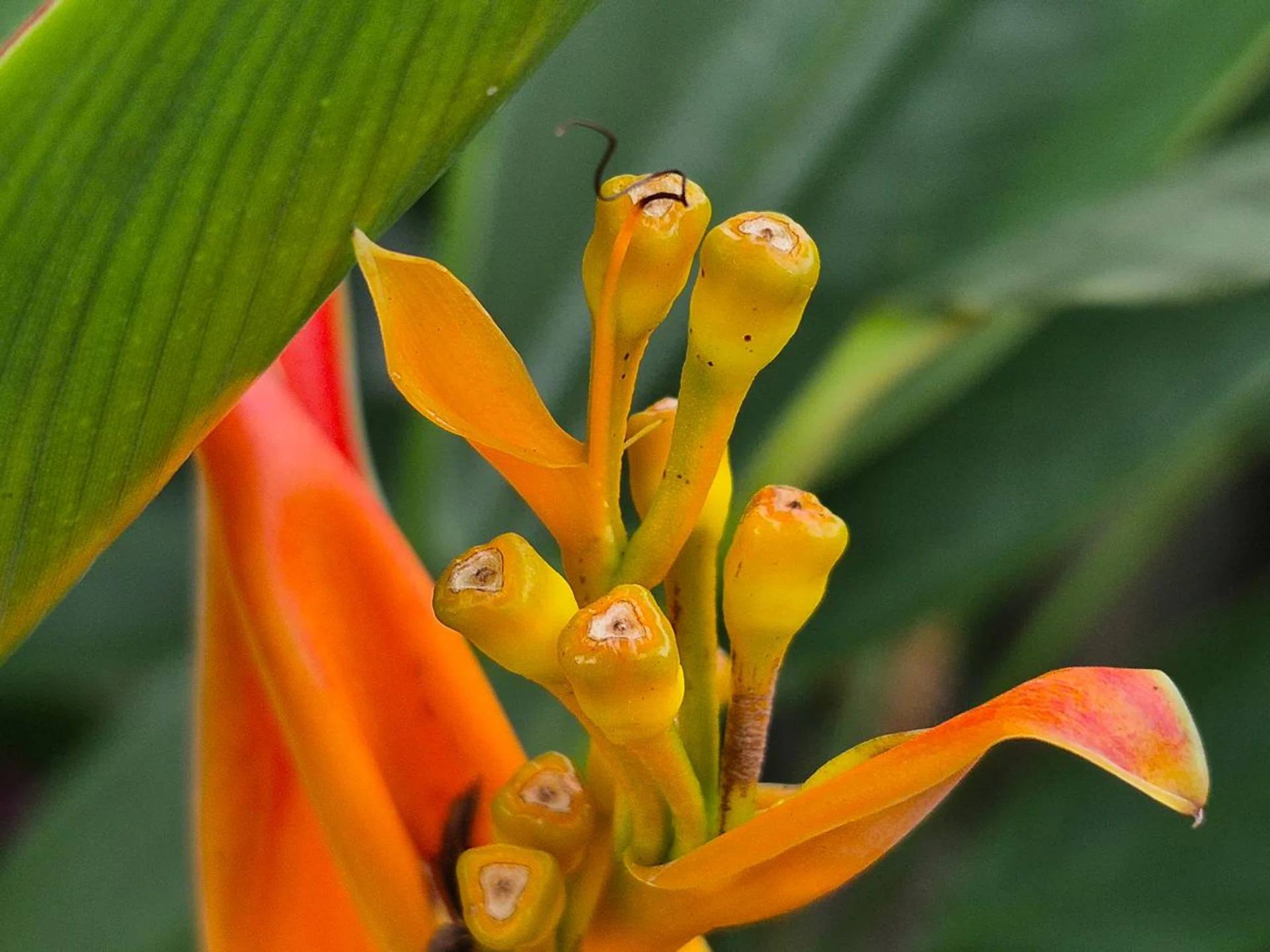 3x optical zoom. Photo: HWZ.