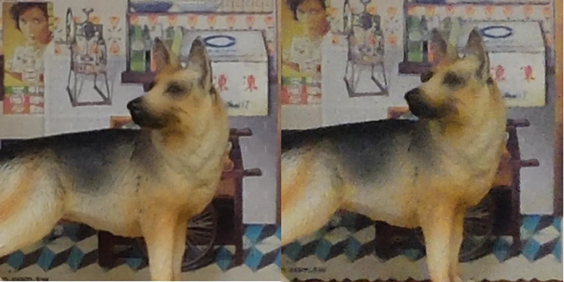 Details start to get lost at ISO200 (left image) when viewing at 100%. You can see the details around the dog's eyes getting very blurred when the ISO is bumped up to ISO800 (right).