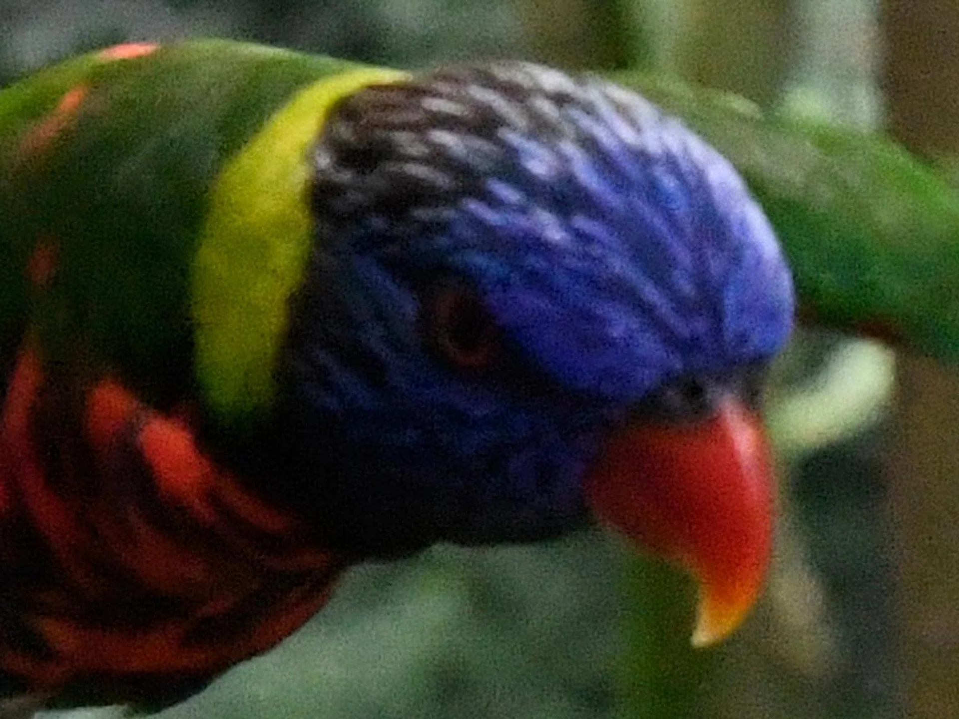 100% crop, D5