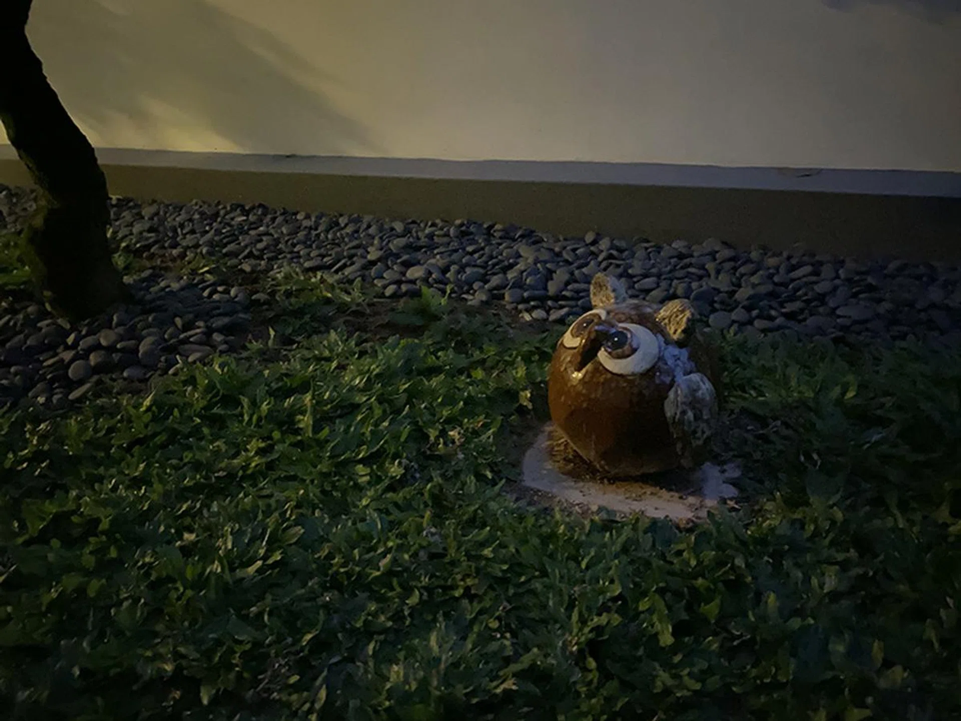 Taken with iPhone 11 Pro wide camera Night Mode off