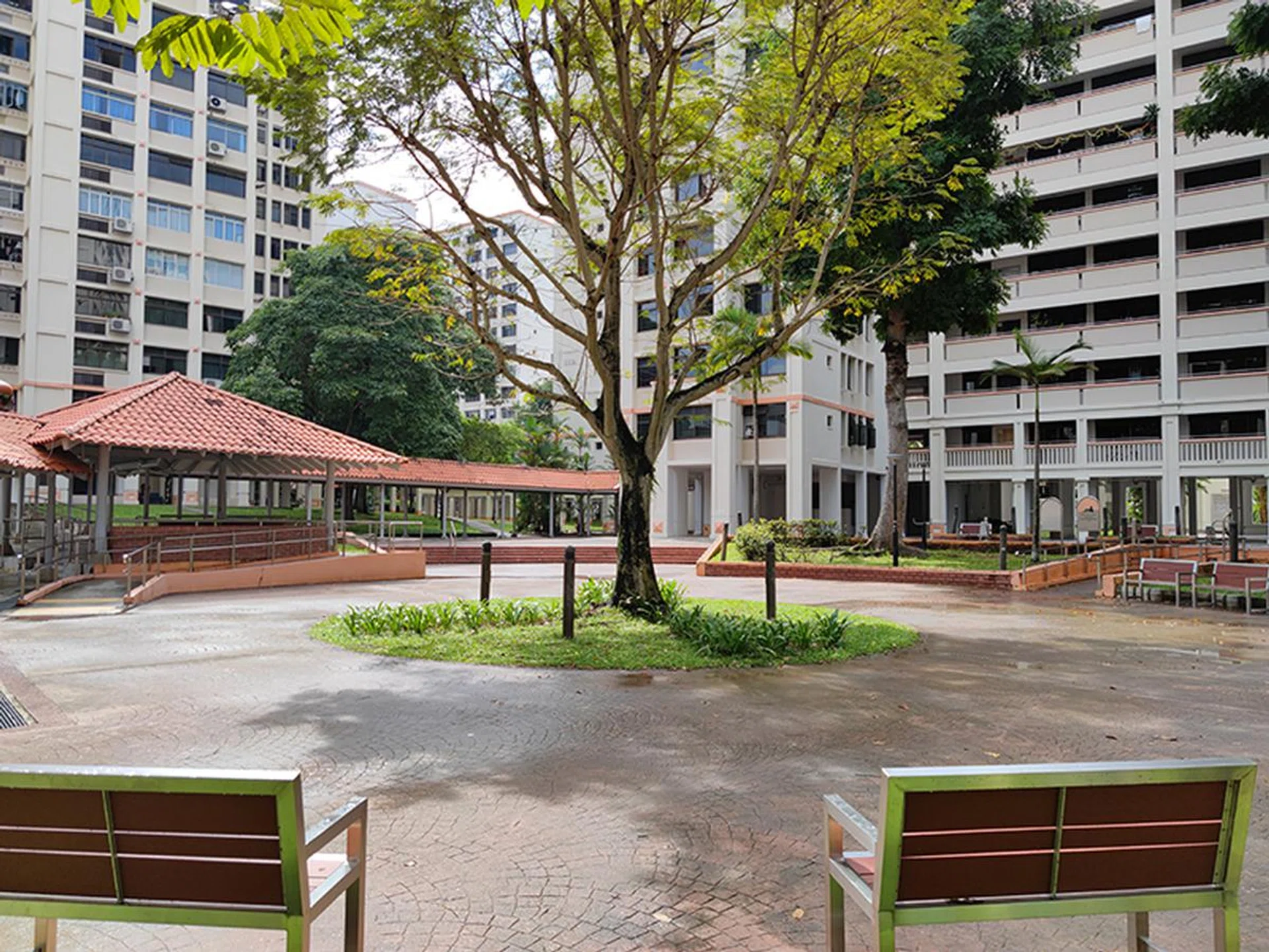 Main camera, no zoom.