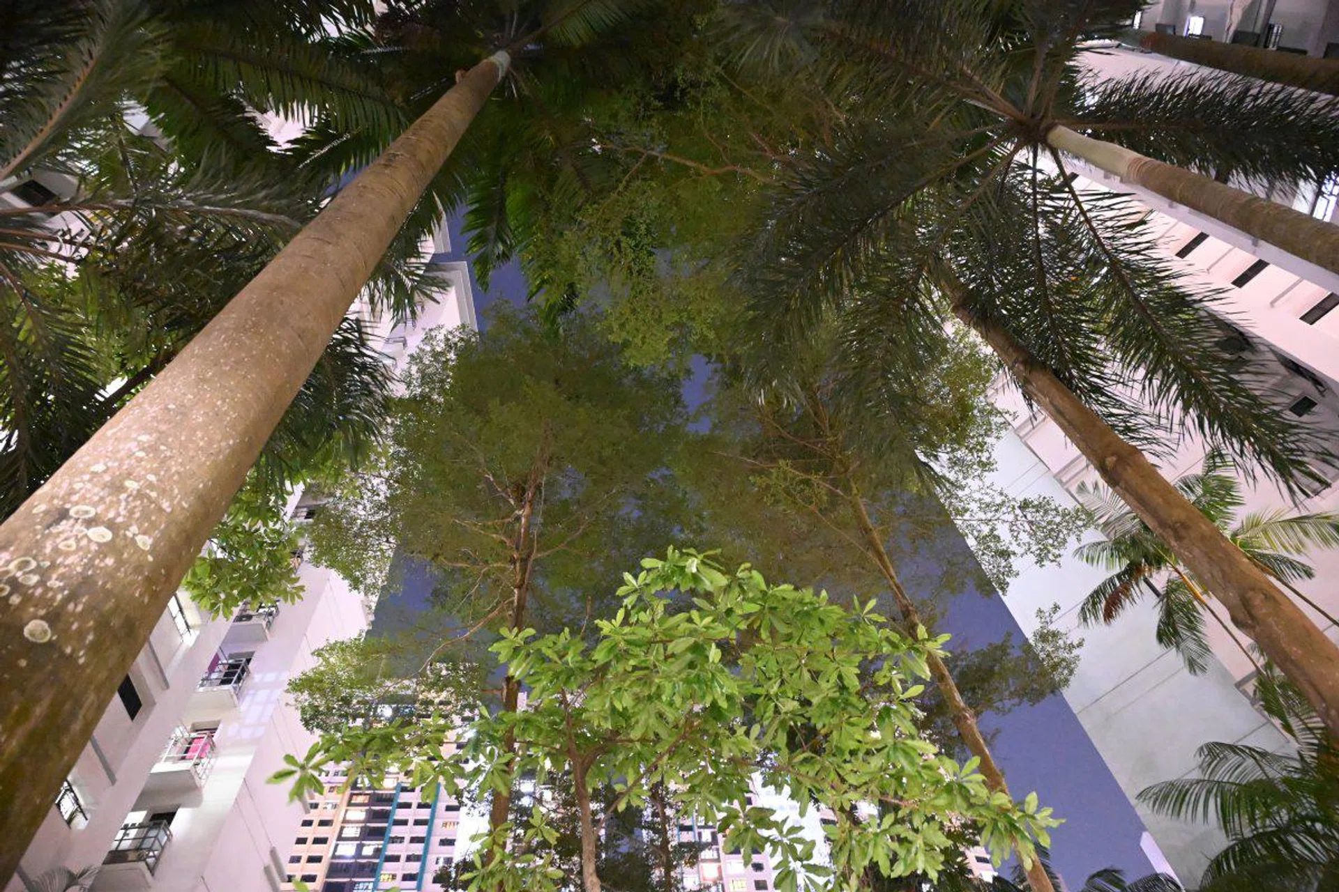 Shooting info: 120mm at f/4, 1/60s, ISO 25600. Image Source: HWZ