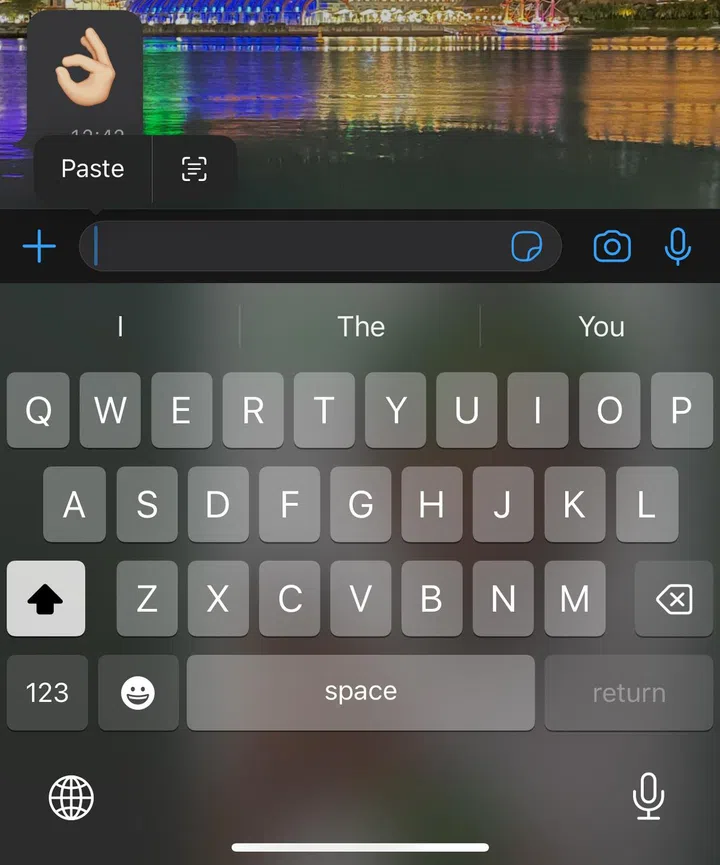 Hold down a finger on your text bar to paste your copied image/subject.