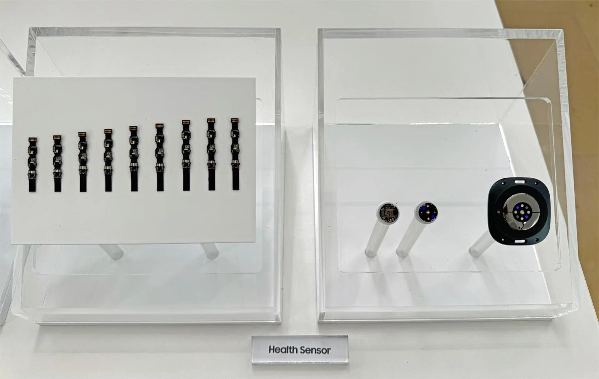 Behind the scenes look at the new BioActive Sensor array. Photo: HWZ