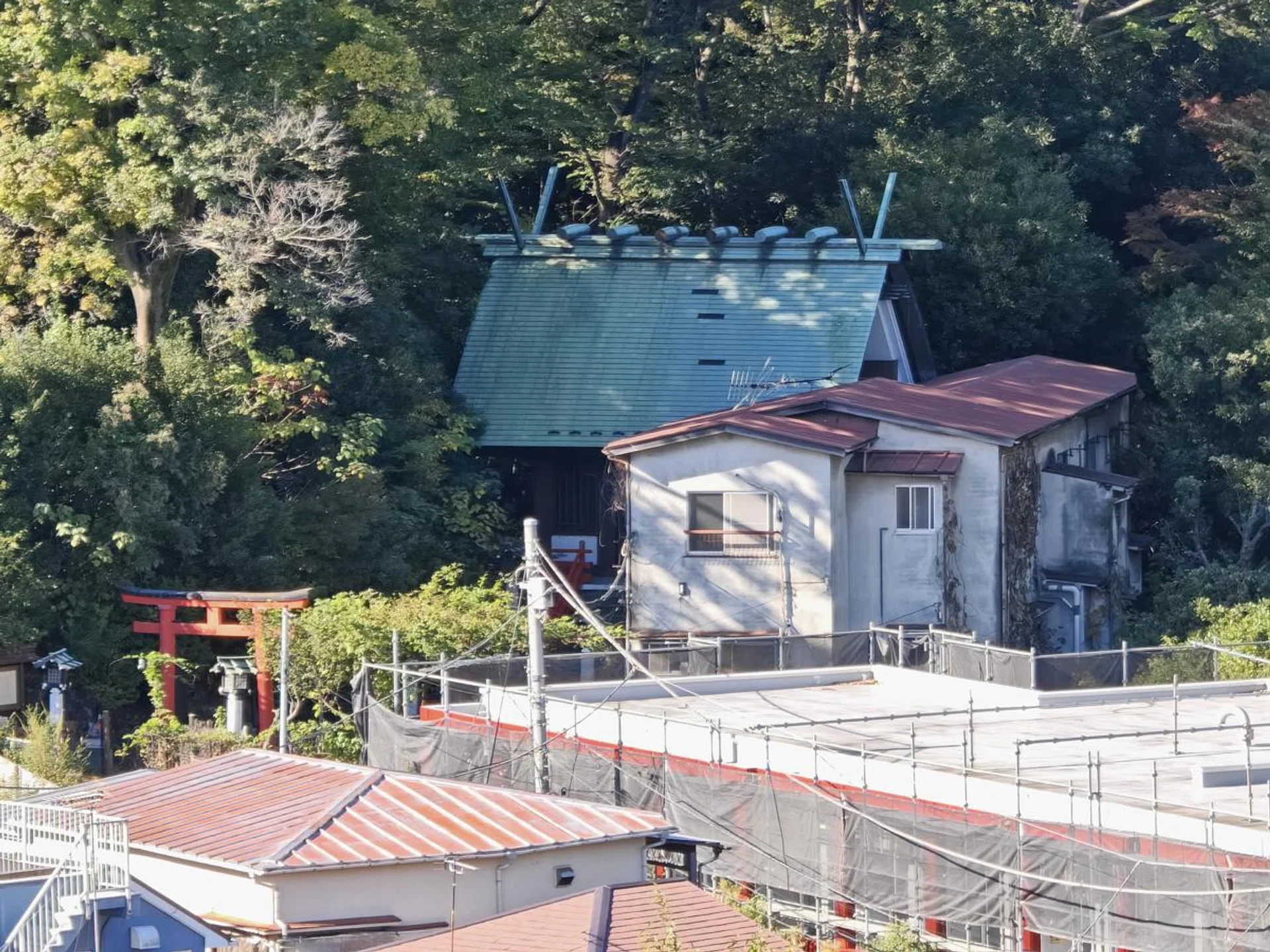 Honor Magic6 Pro. Photo: HWZ.