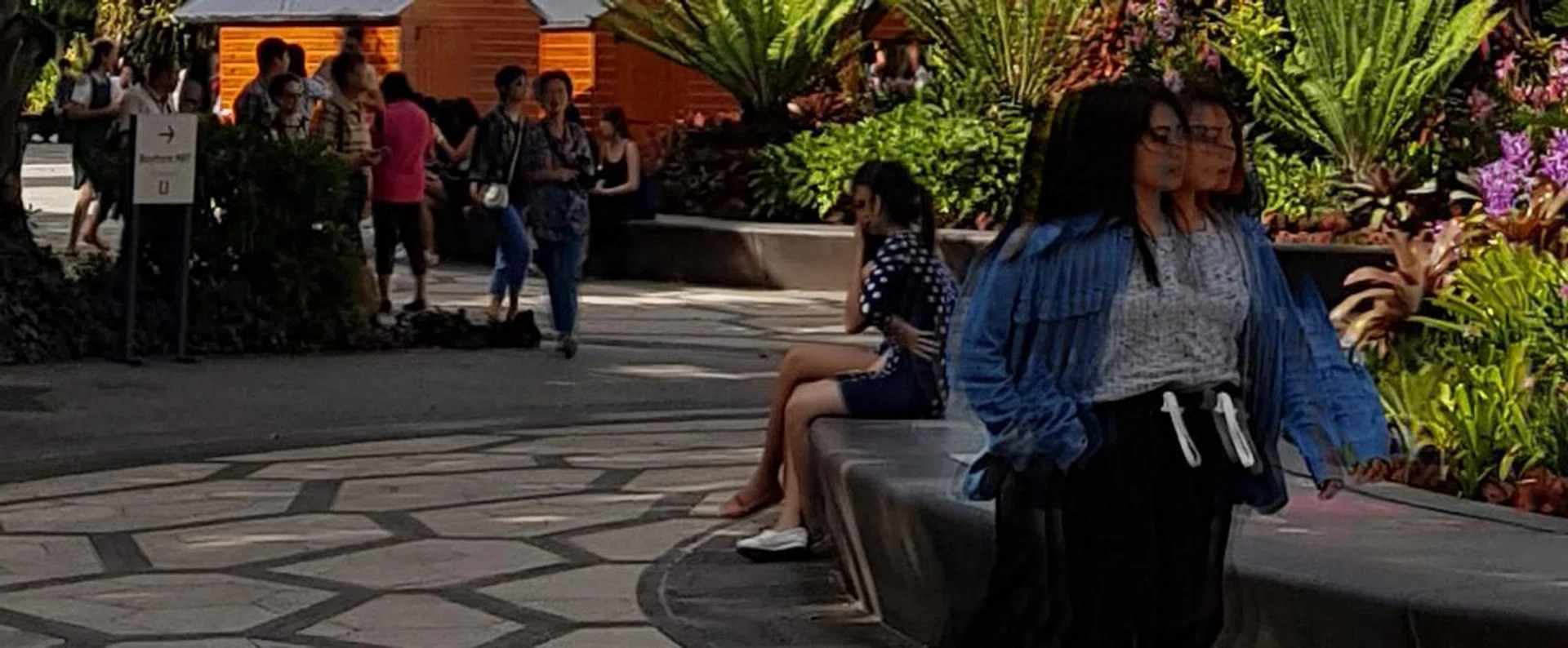 Samsung Note8. A 100% crop from the main image. Notice how the moving people are in the background have minimum ghosting but the lady in front is doing a Quicksilver impression. However, it’s likely that the other smartphones would have produced the same result, as panoramas don’t handle moving subjects well.