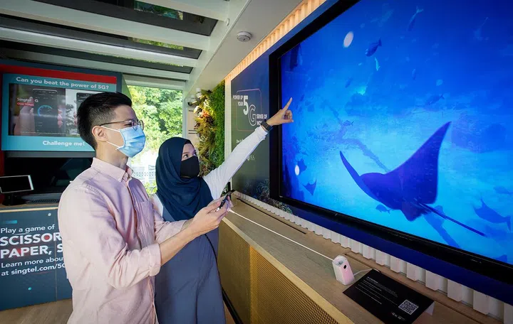 Singapore's 'first underwater 5G livestream' of S.E.A Aquarium was made possible with the help of Singtel's 5G network. Source: Singtel.