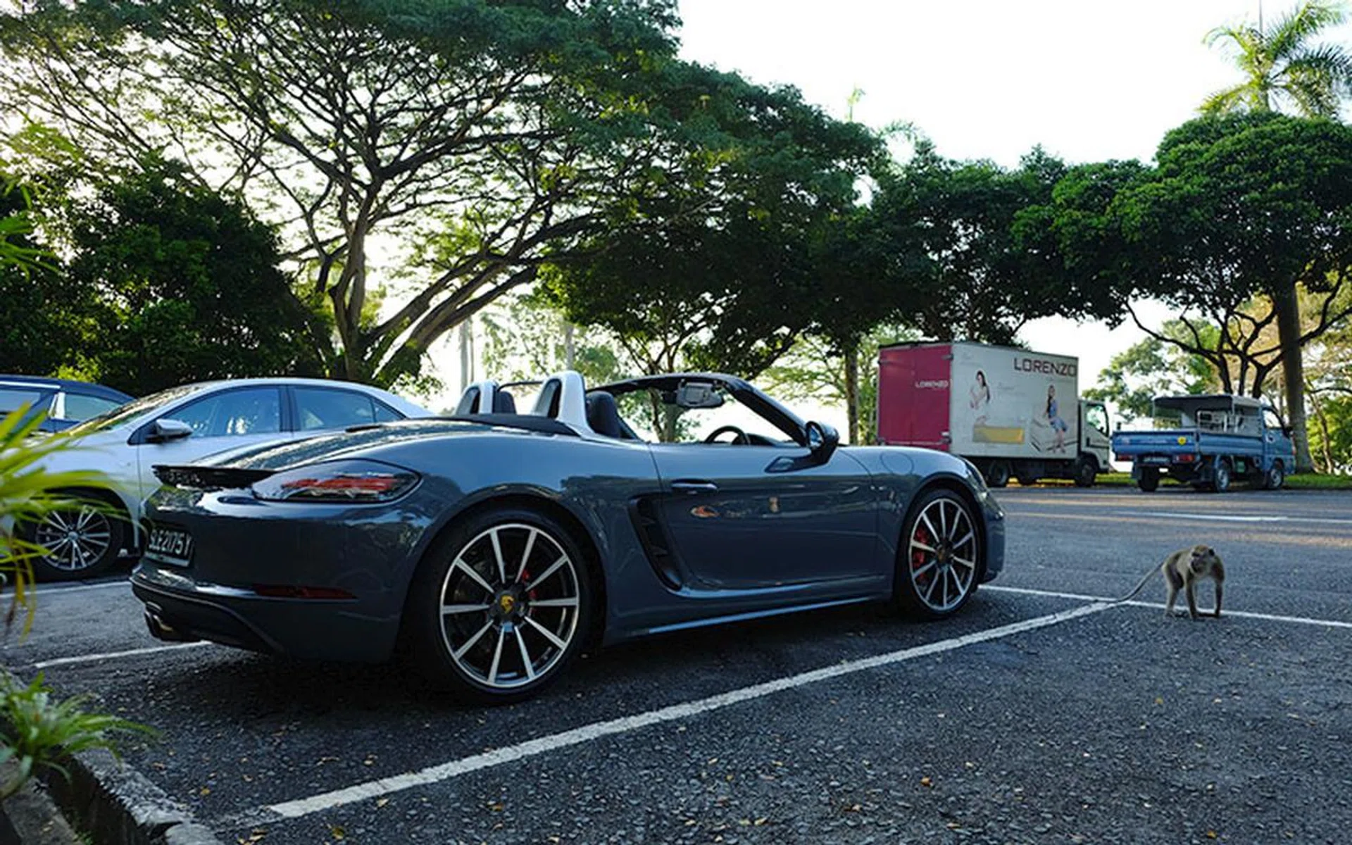 The new Boxster is a looker. Monkey agrees.
