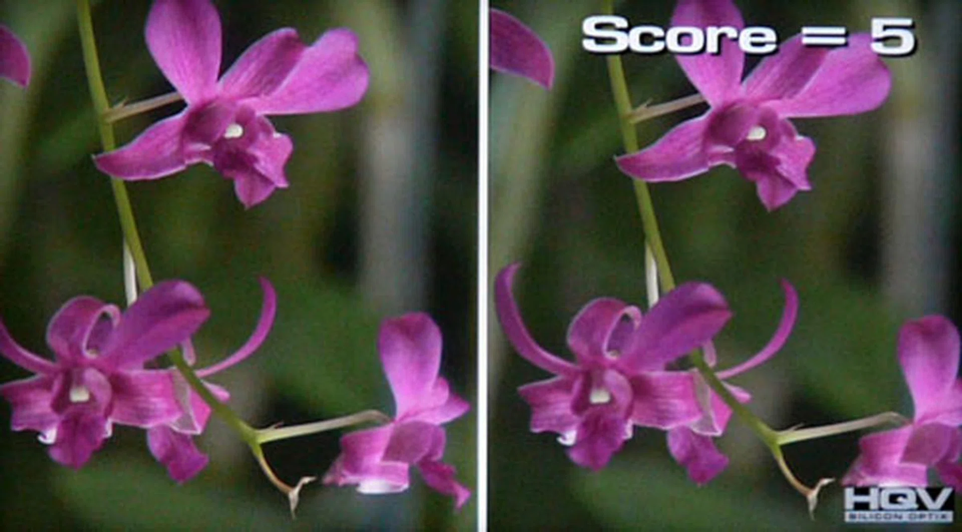 HQV Digital Noise Filtering Test: LG's improved noise filters is an encouraging move forward for the Korean CE firm. However, we also noticed that a "high" Noise Reduction setting is required in order for noise grains to be removed effectively.