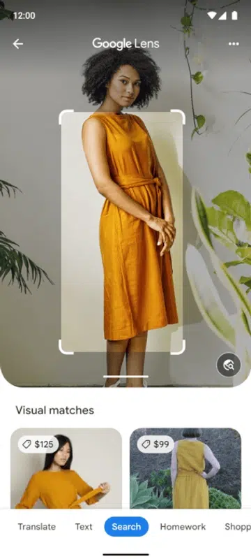 Image source: Google.