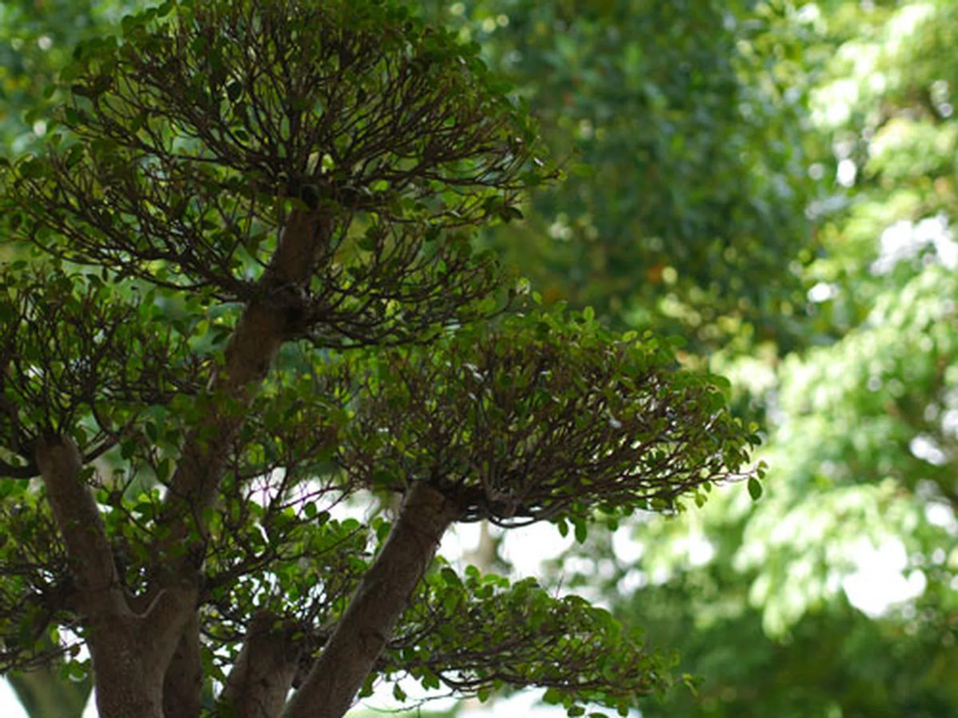 f/1.8 at 90mm (35mm equivalent), 1/640 sec, ISO160.