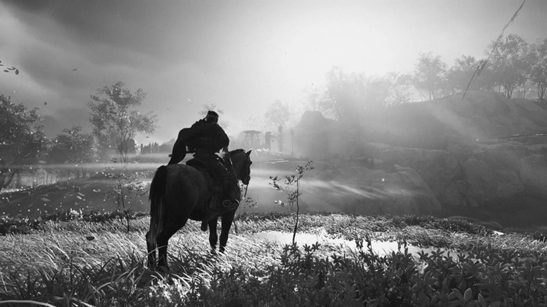 If you really want the samurai experience, you can play with full Japanese audio and turn on 'Kurosawa Mode'. The latter gives the entire game an old-timey black and white filter, and alters the audio as a callback to Akira Kurosawa's iconic films. 